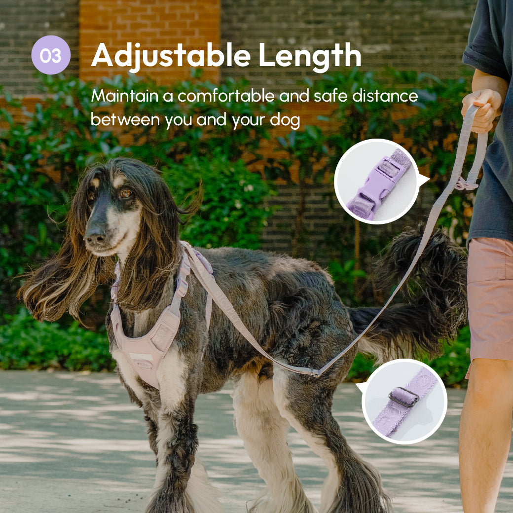 Dog Leash Padded Active Walking Lead Adjustable MINT PURPLE - gallery image 12