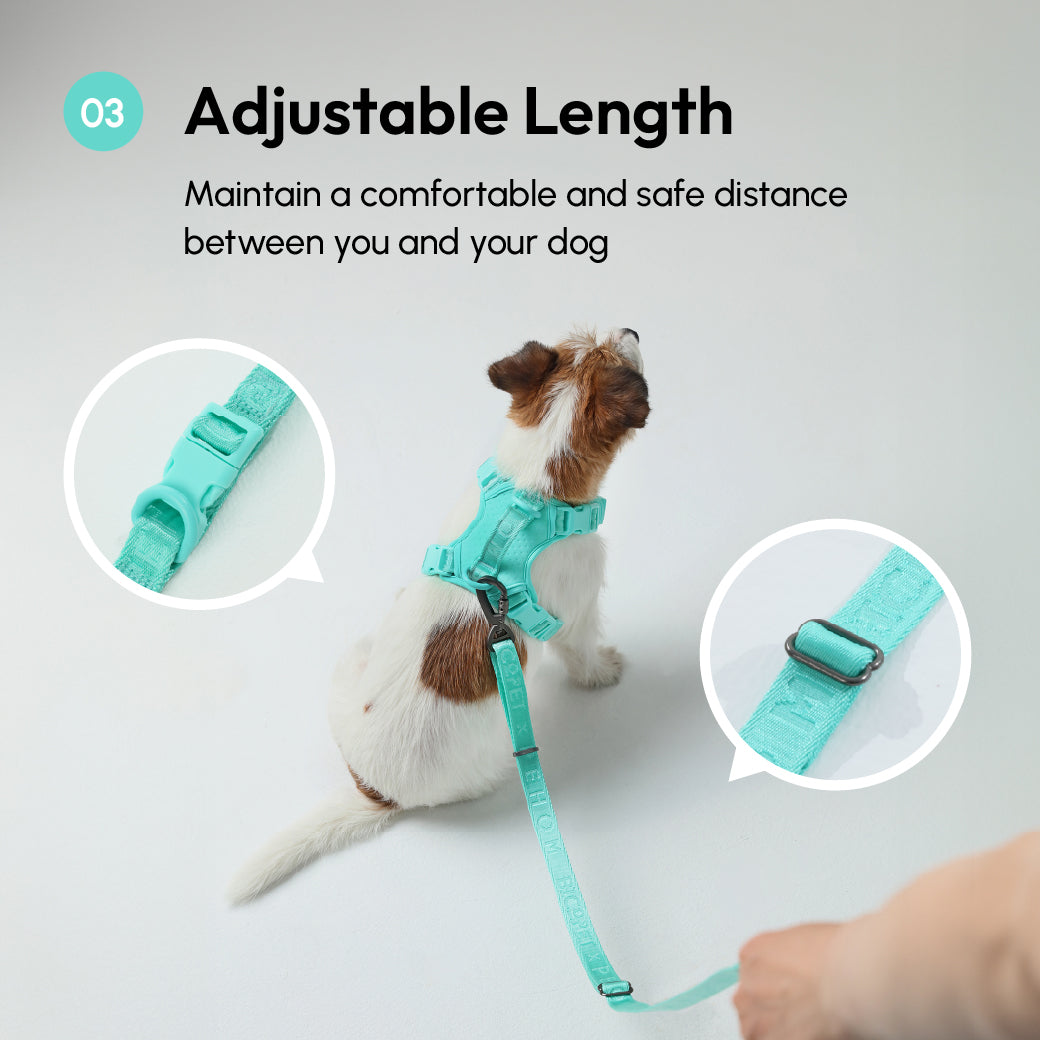 Dog Leash Padded Active Walking Lead Adjustable MINT GREEN - gallery image 13
