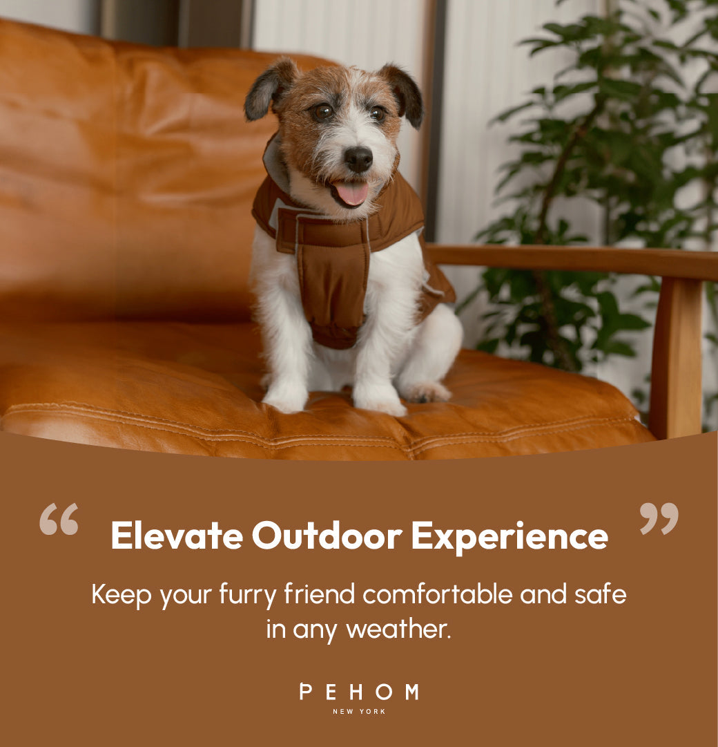 Dog Apparel Active Outdoor Wear Adjustable Grey Comfort - gallery image 16