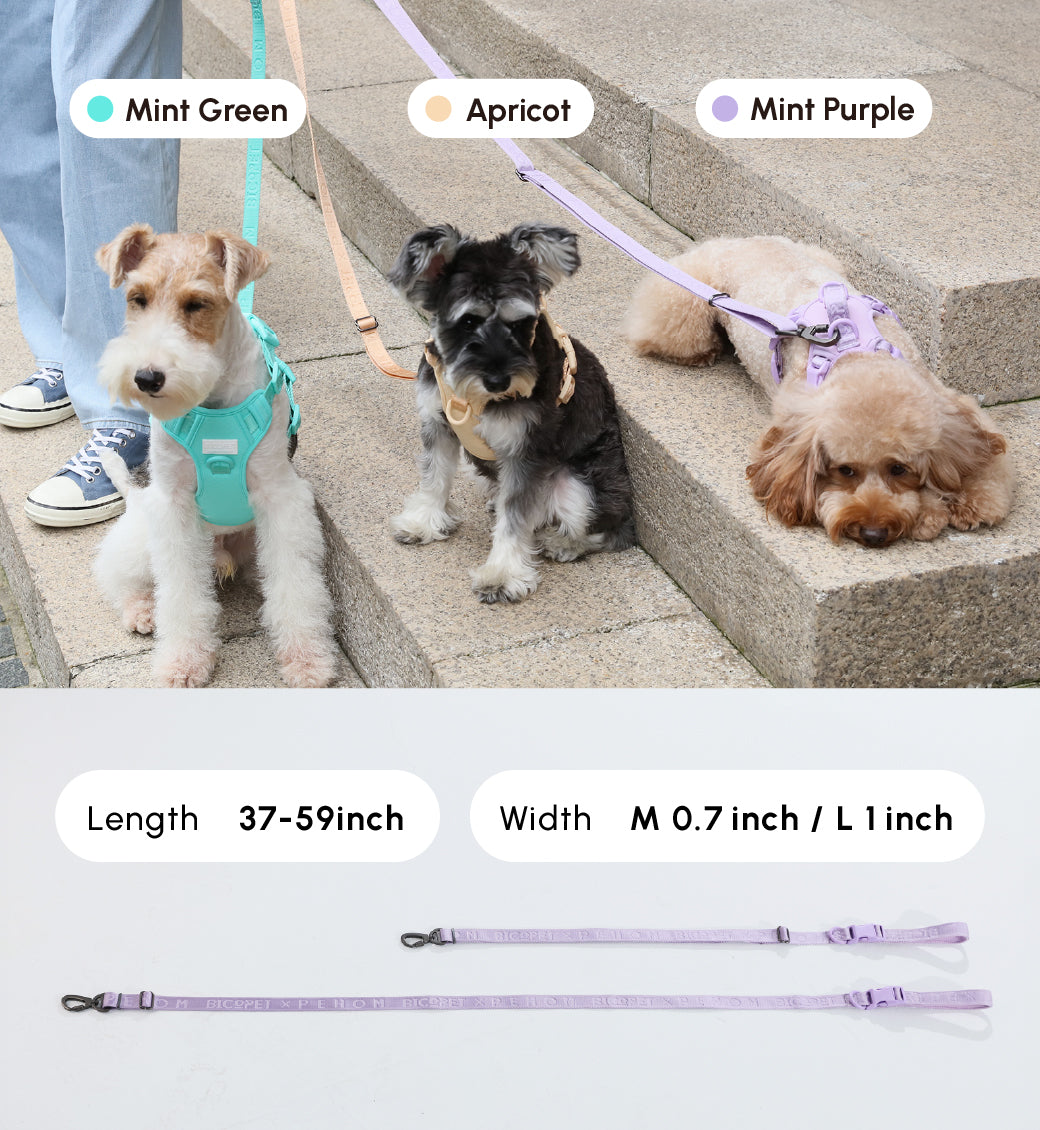 Dog Leash Padded Active Walking Lead Adjustable APRICOT - gallery image 13