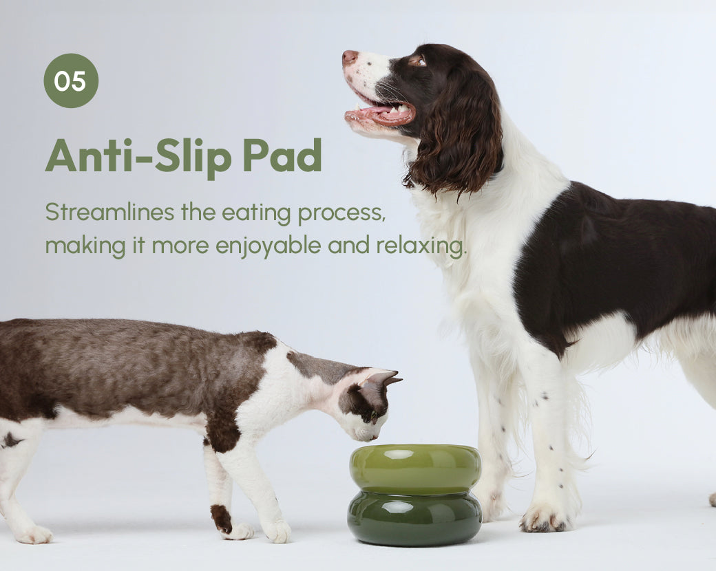 Pet Feeders & Bowls Adjustable Green Premium Pet Supply - gallery image 12