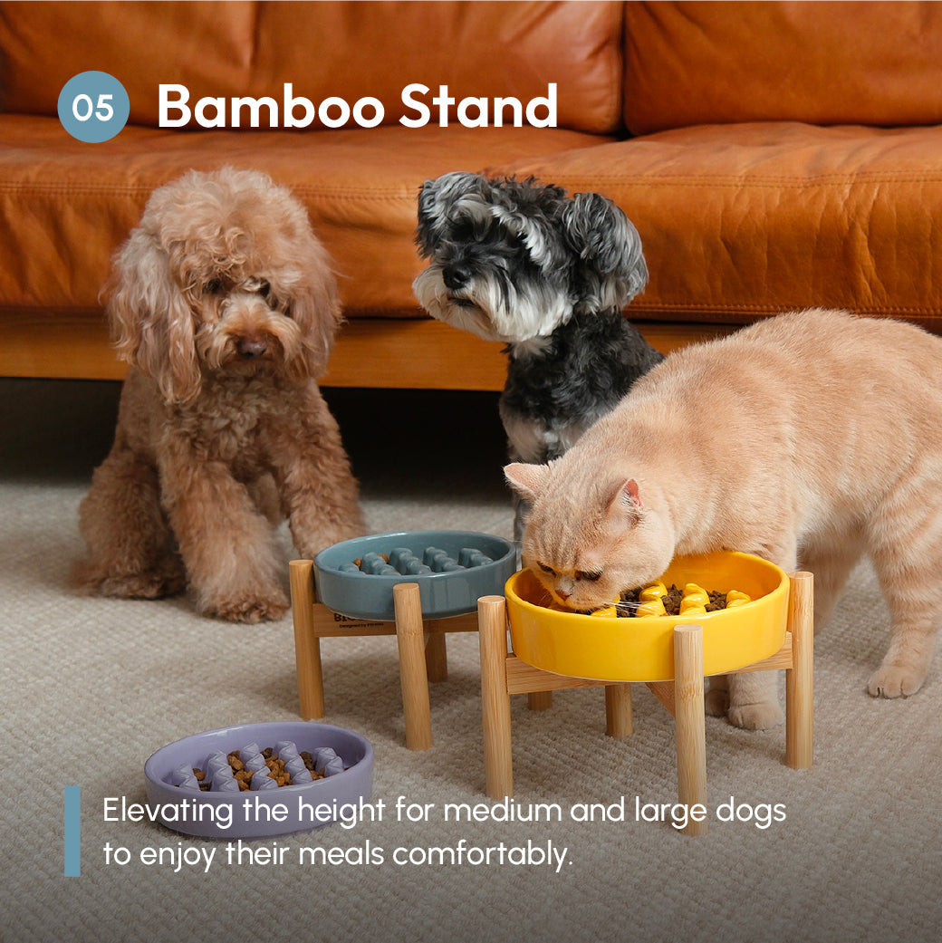 Pet Feeders & Bowls Adjustable Yellow Premium Pet Supply - gallery image 18