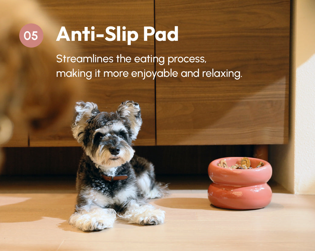Souffle Pet Bowl Rose Pink Pet Feeding Hydration Supply - gallery image 12