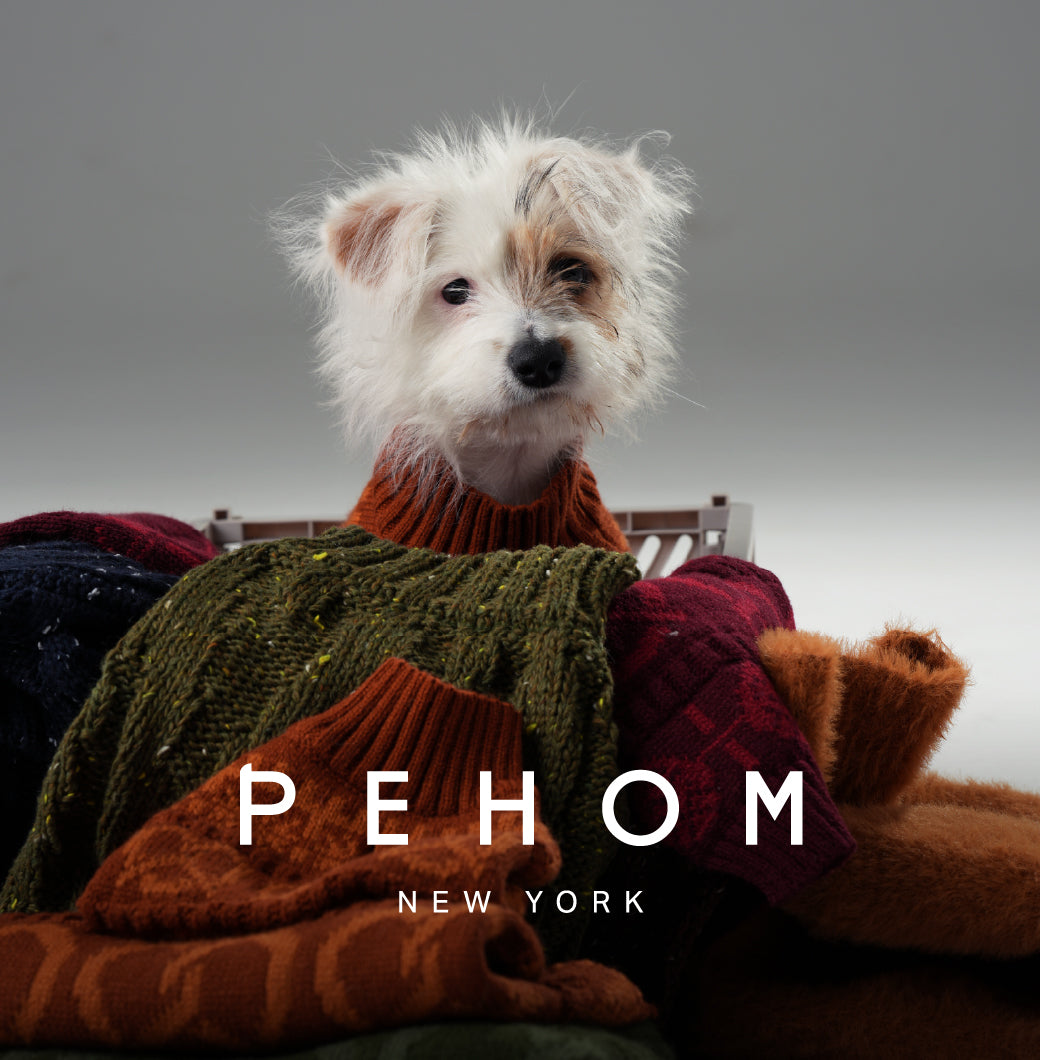 Pretzel Pet Sweater Tofee Orange Dog Sweaters Premium Pet - gallery image 13