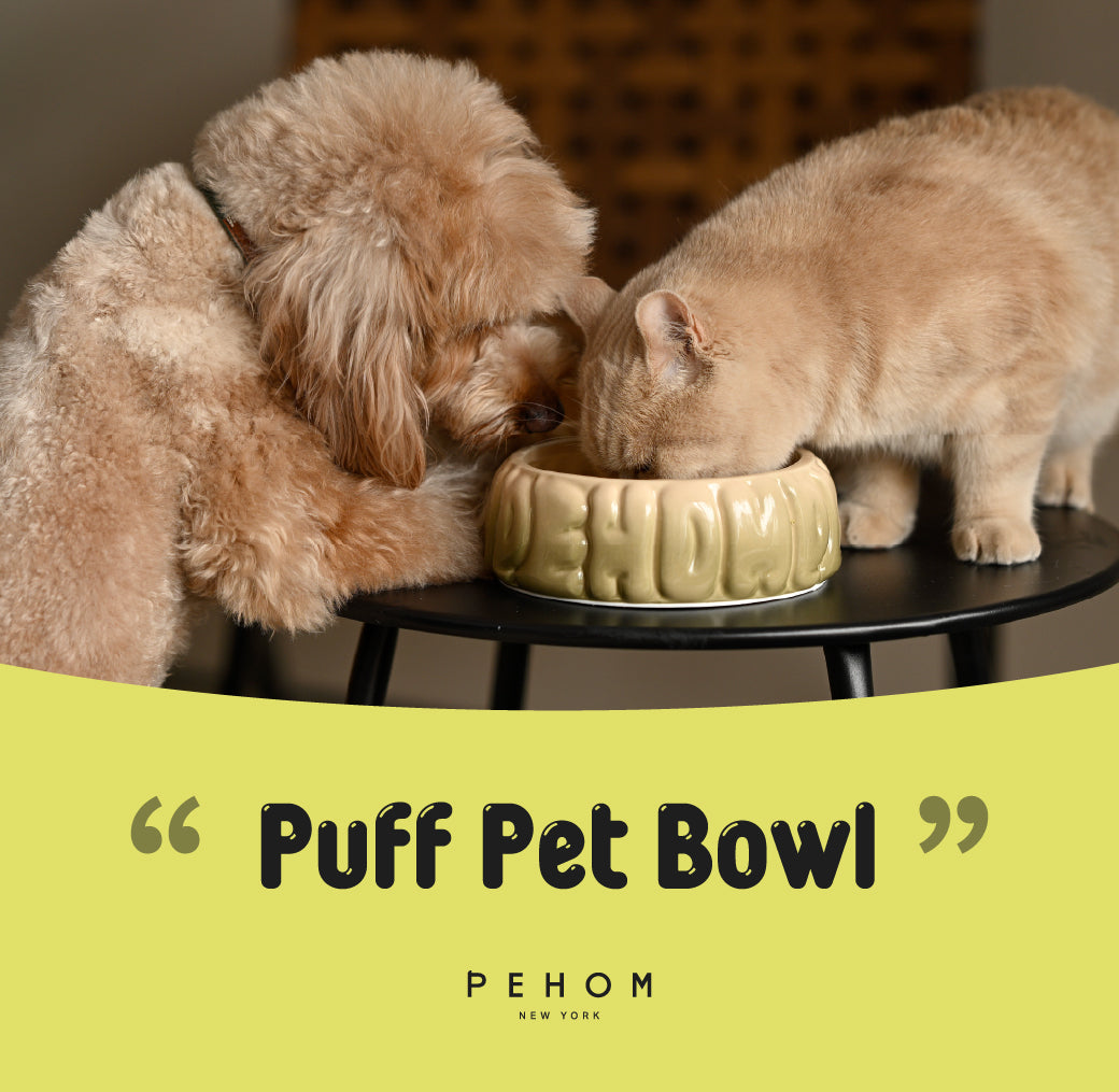 Puff Pet Bowl Gradient Olive Pet Feeding Hydration Supply - gallery image 15