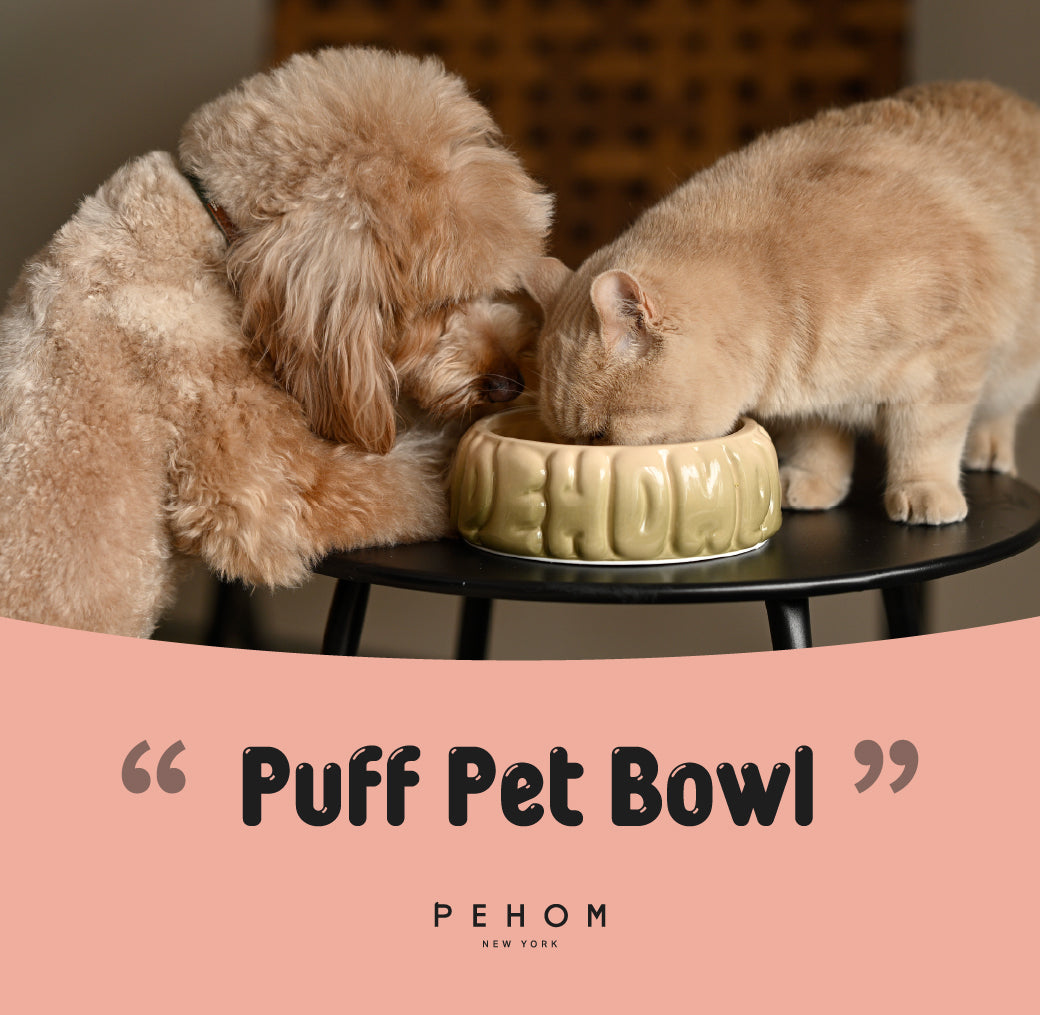 Puff Pet Bowl Gradient Caramel Pet Feeding Hydration Supply - gallery image 14