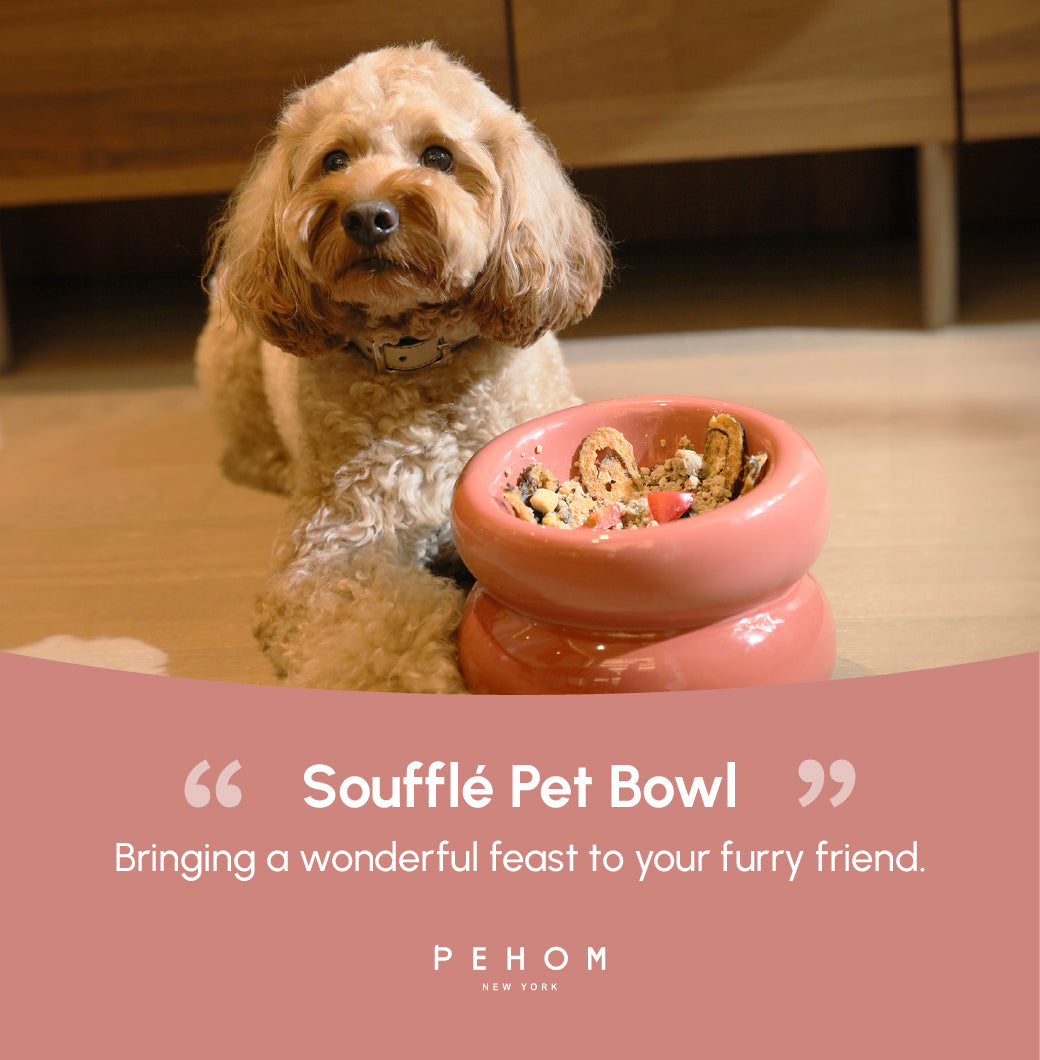 Souffle Pet Bowl Rose Pink Pet Feeding Hydration Supply - gallery image 14