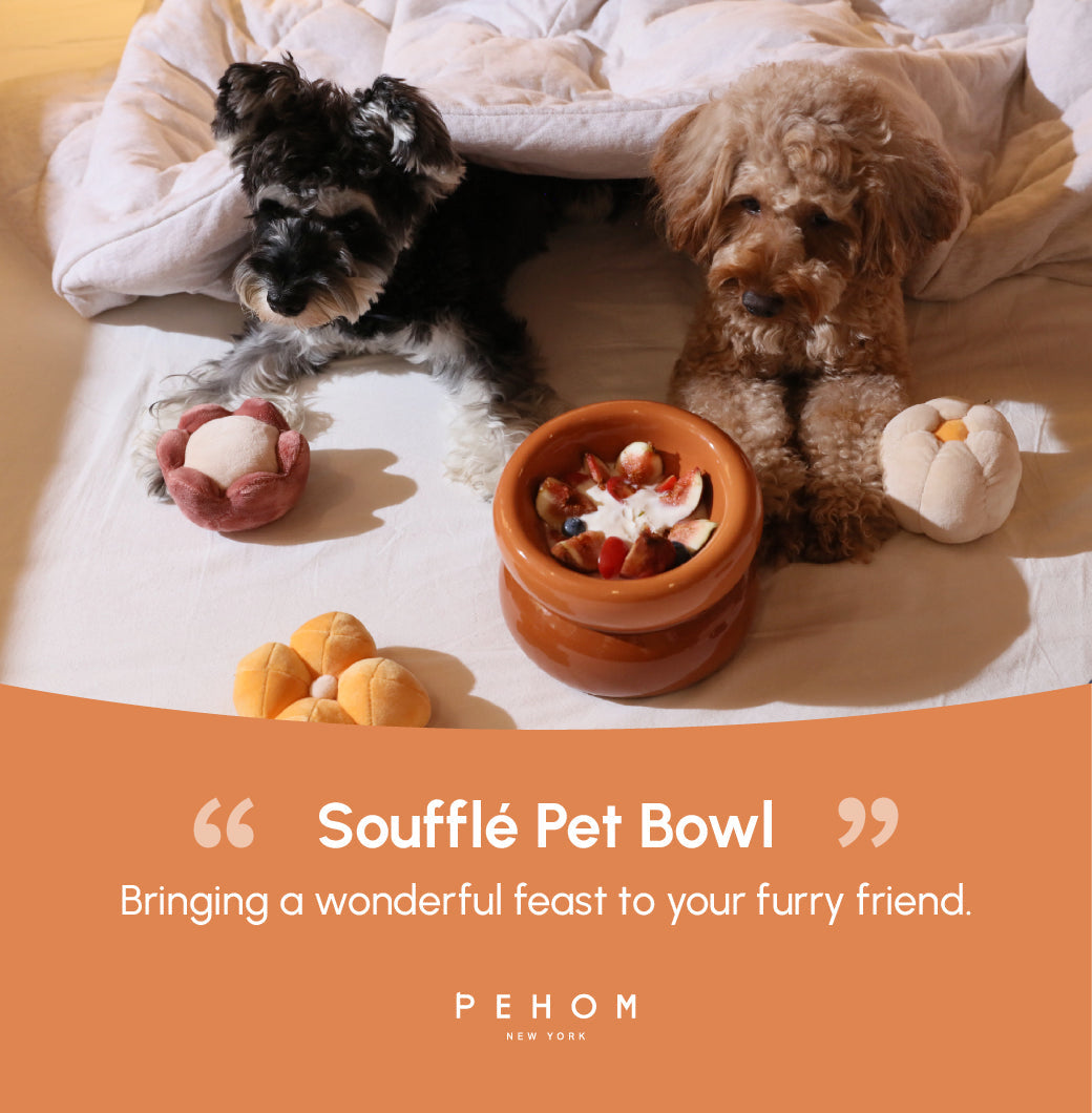 Souffle Pet Bowl Amber Orange Pet Feeding Hydration Supply - gallery image 13