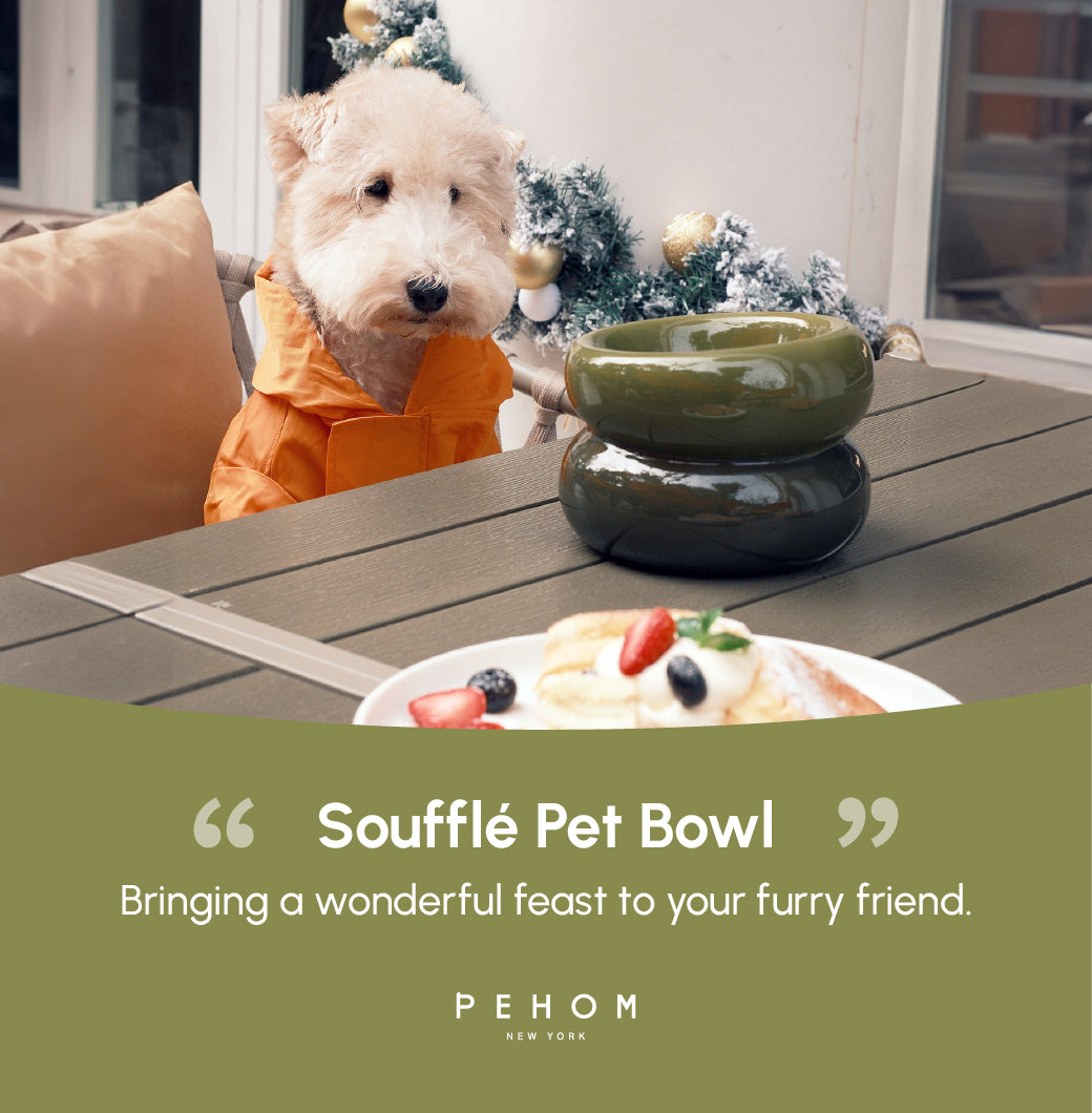 Pet Feeders & Bowls Adjustable Green Premium Pet Supply - gallery image 14