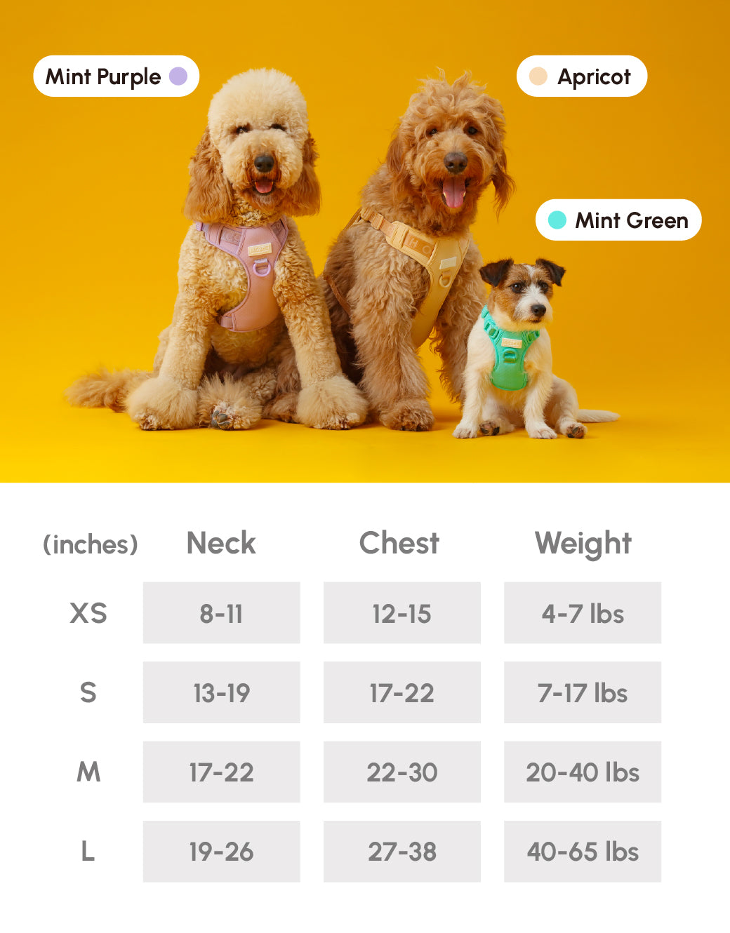 Dog Harness No Pull Active Fit Adjustable MINT PURPLE Walkin - gallery image 15