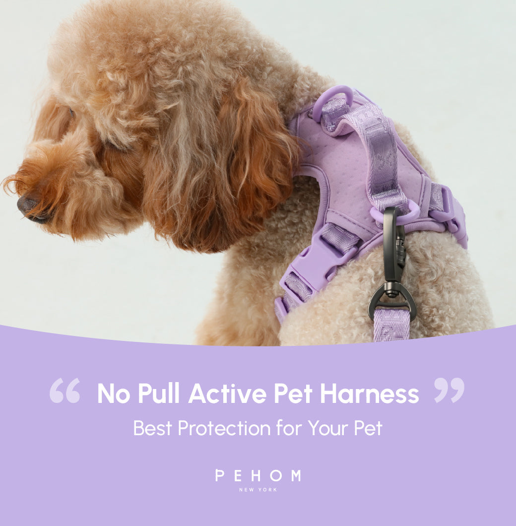 Dog Harness No Pull Active Fit Adjustable MINT PURPLE Walkin - gallery image 16