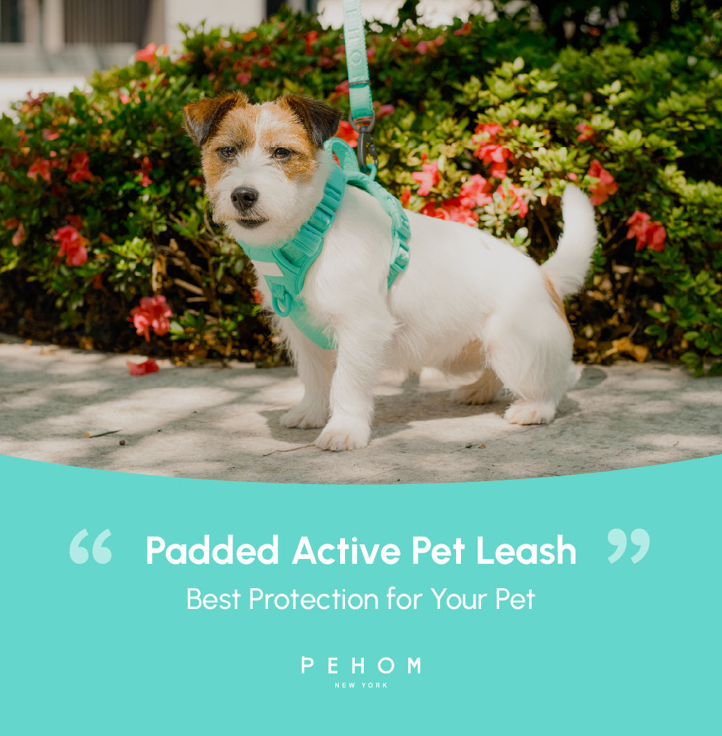 Dog Leash Padded Active Walking Lead Adjustable MINT GREEN - gallery image 15