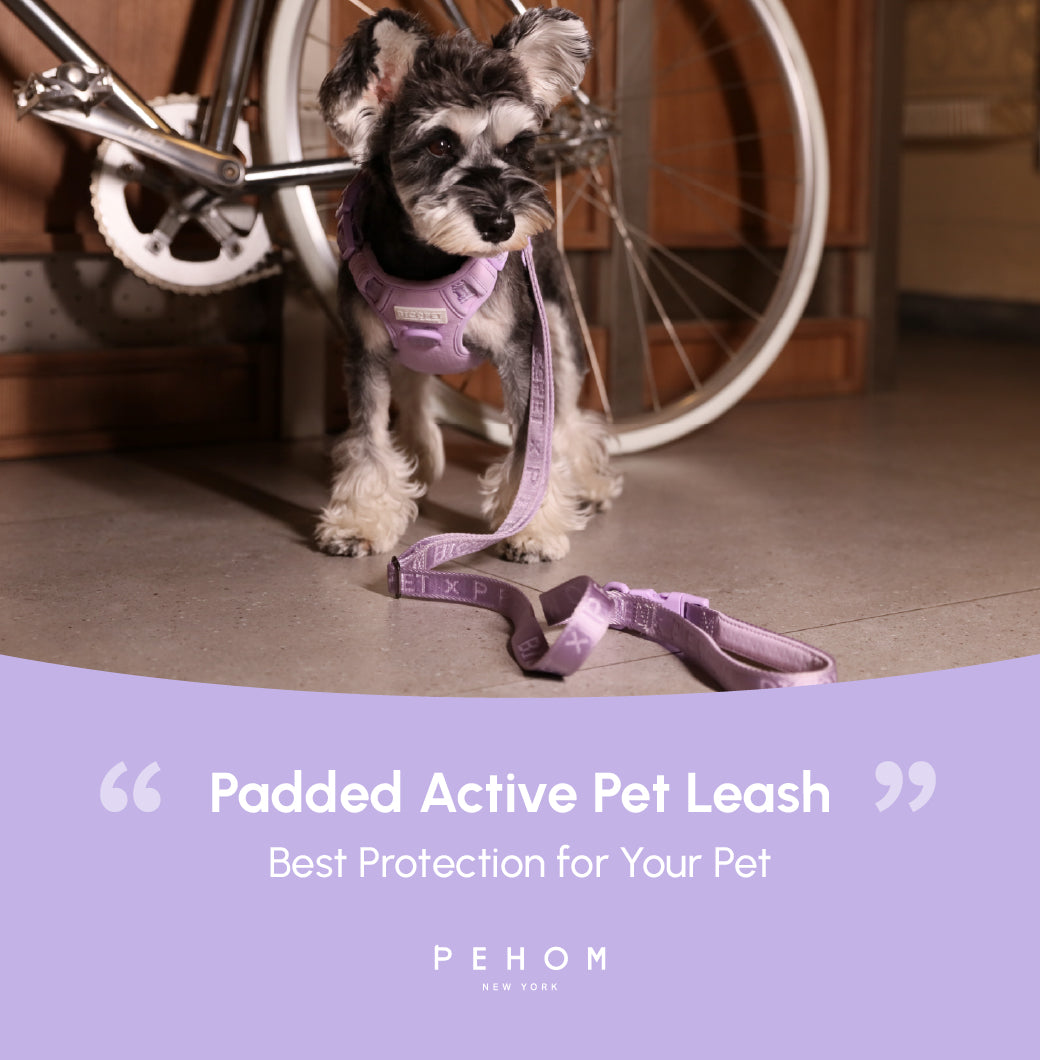 Dog Leash Padded Active Walking Lead Adjustable MINT PURPLE - gallery image 14