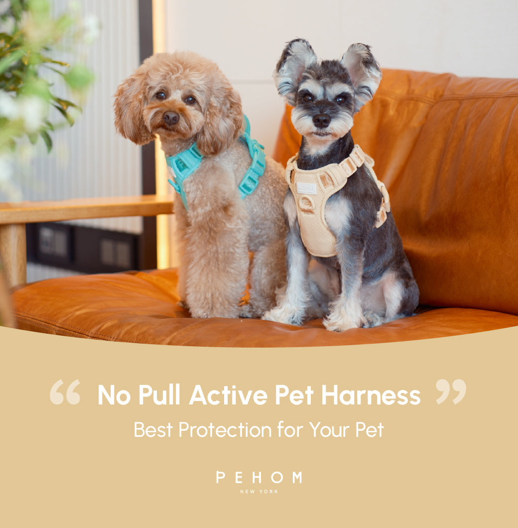 Dog Harness No Pull Active Fit Adjustable APRICOT Walking - gallery image 19