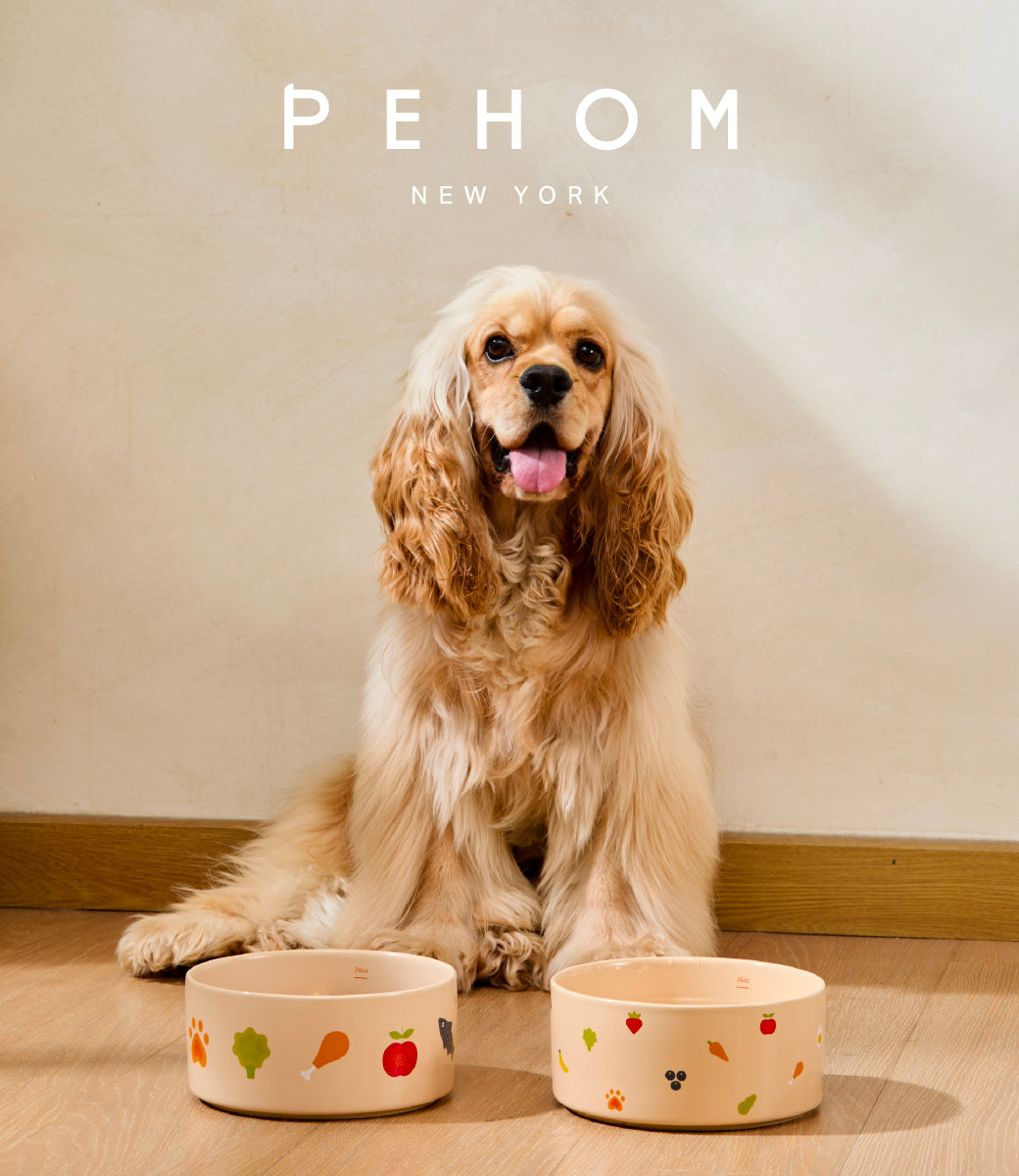 Nomnom Bowl Pet Feeding Hydration Supply Premium - gallery image 20