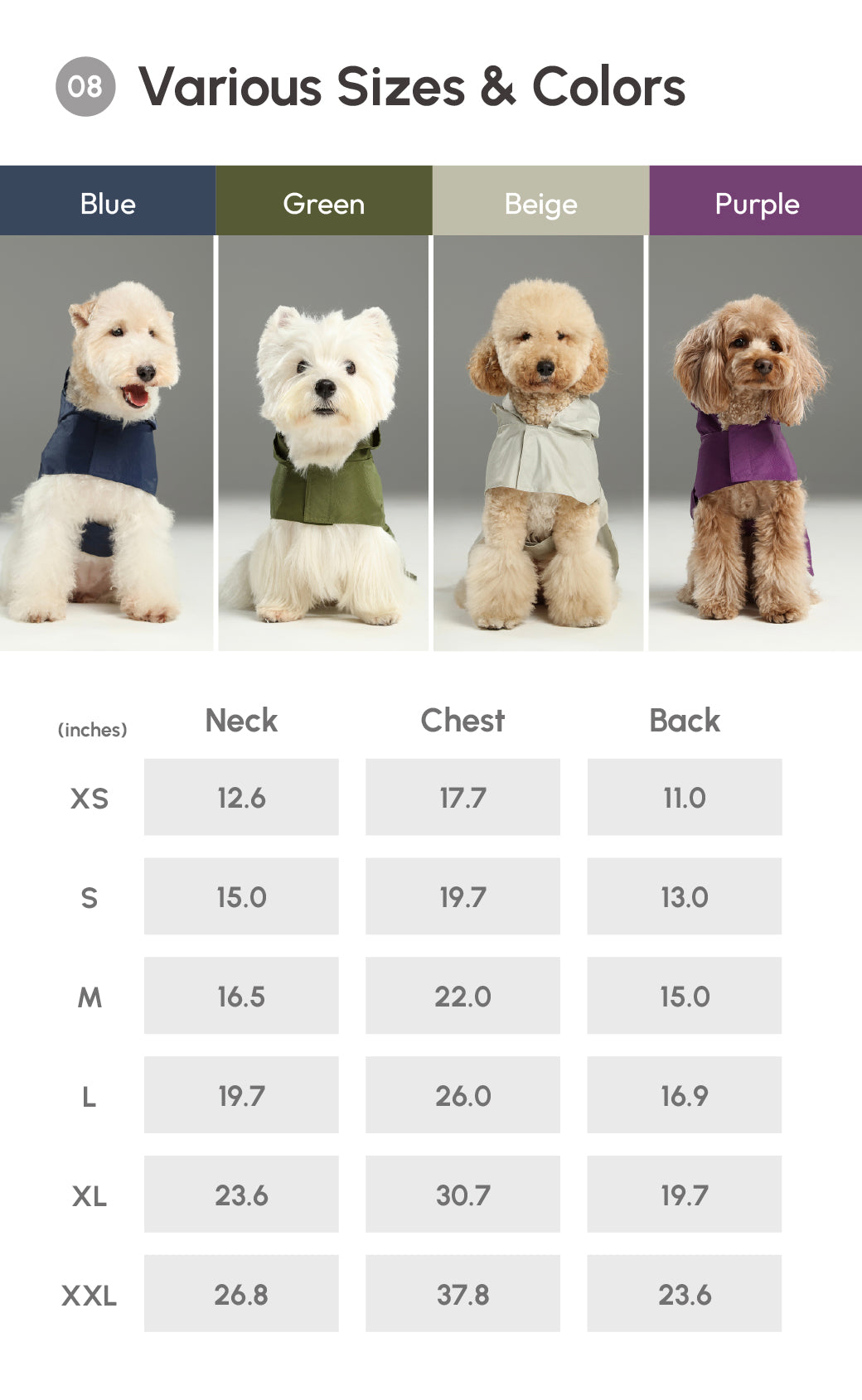 Capsule Raincoat Purple Dog Apparel Premium Pet Supply - gallery image 20