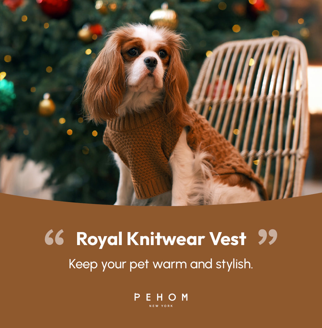 Pet Sweater Vest Toffee Orange Dog Sweaters Premium Pet - gallery image 17