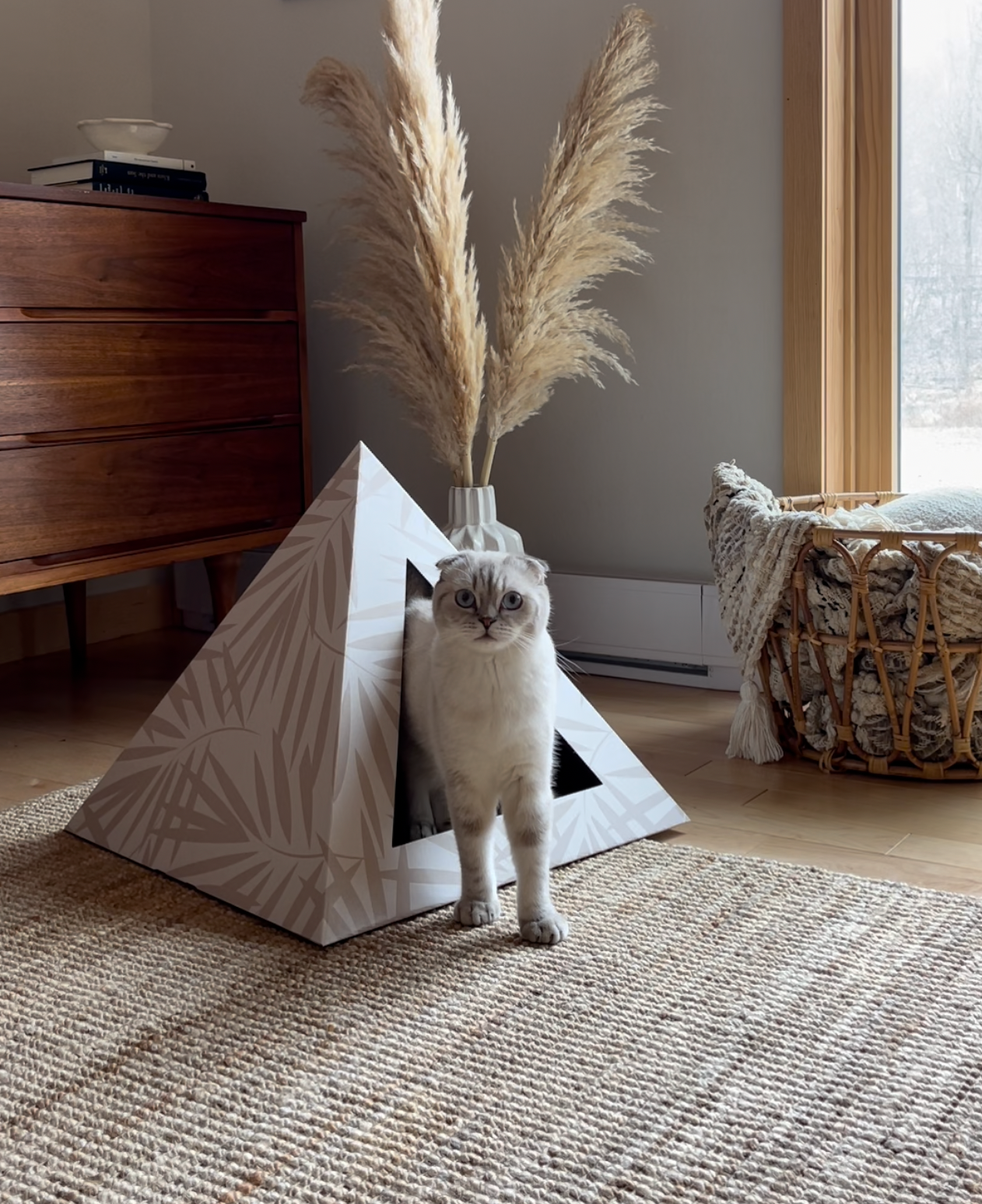 'Neutral Palm' Cardboard Cat Pyramid - main product image
