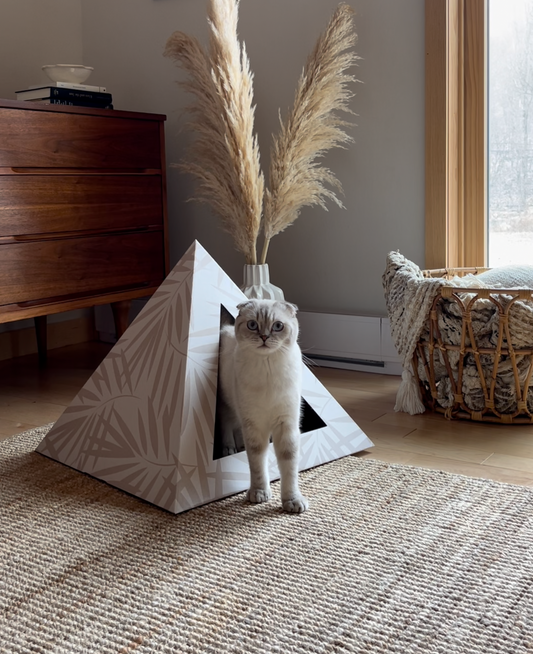 'Neutral Palm' Cardboard Cat Pyramid - main product image