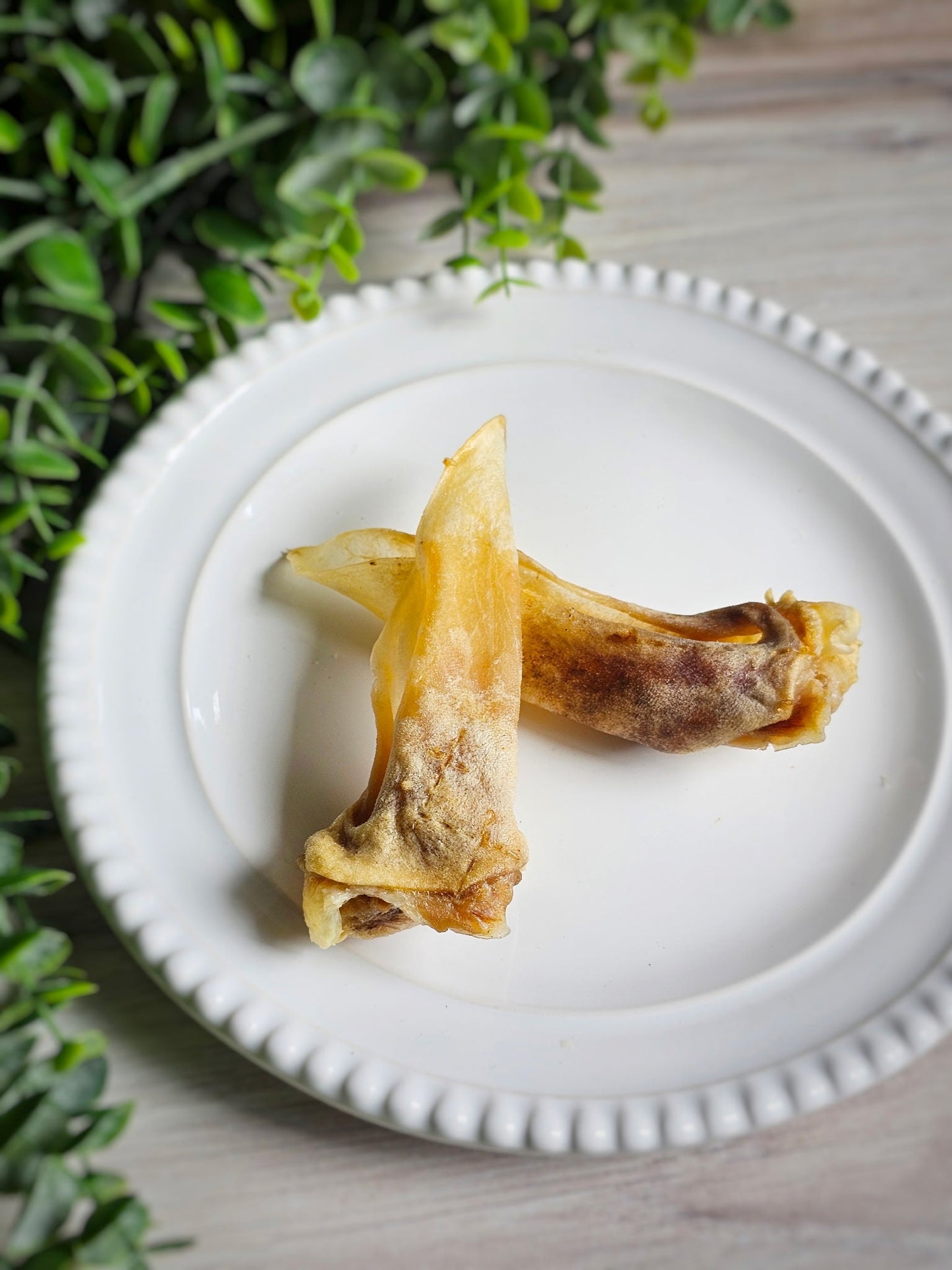 Dog Treats Lamb Ears Single Ingredient Chews Natural Reward - lifestyle view