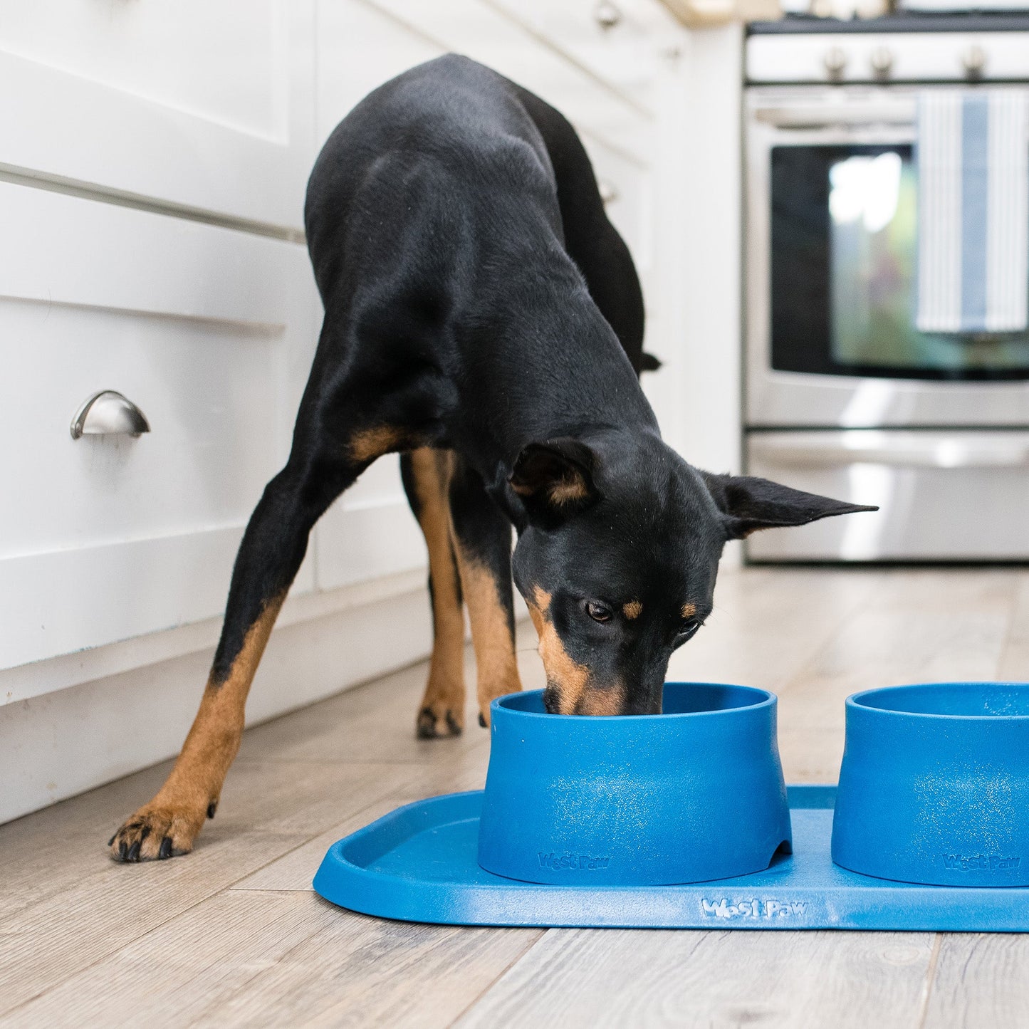 Pet Feeder Placemat Non Slip Feeding Mat Daily Dining - lifestyle view