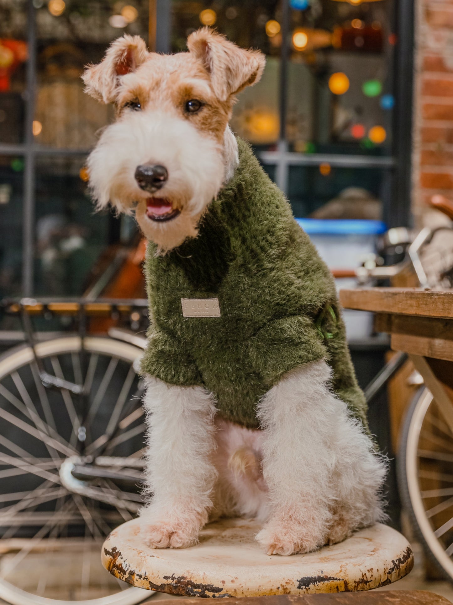 Eskimo Fuzzy Sweater Orange Dog Sweaters Premium Pet Supply - gallery image 6