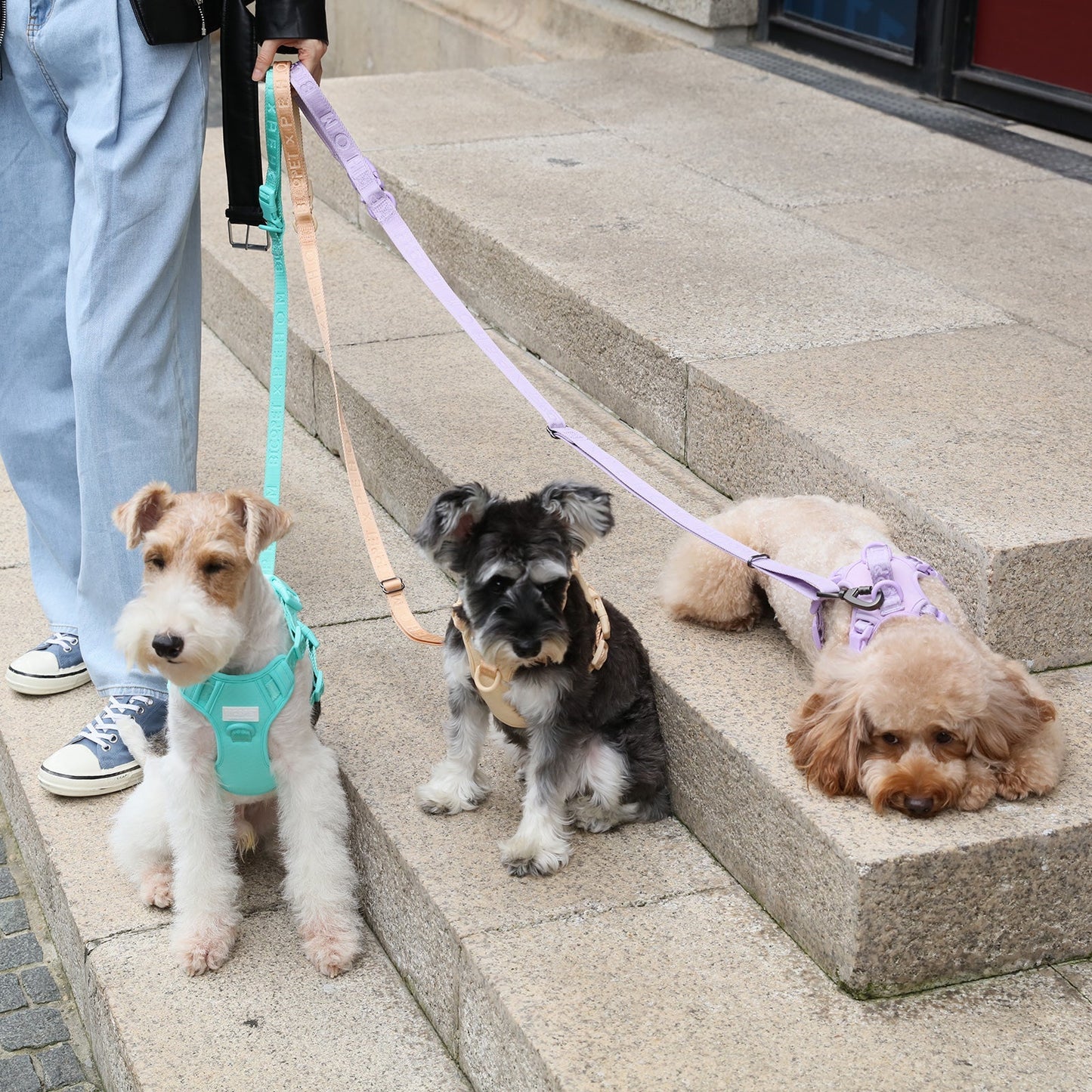 Dog Leash Padded Active Walking Lead Adjustable MINT GREEN - gallery image 7