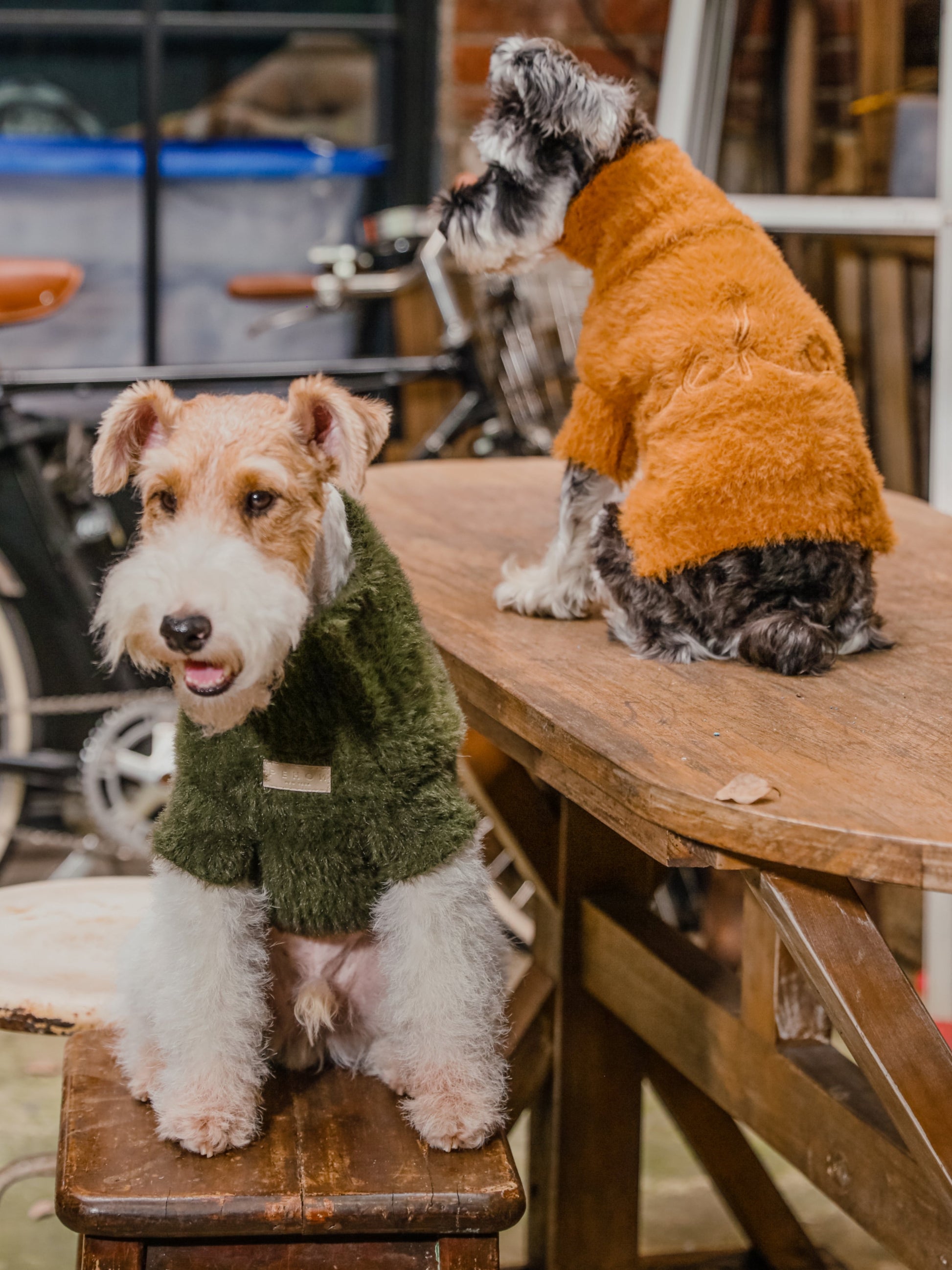 Eskimo Fuzzy Sweater Green Dog Sweaters Premium Pet Supply - gallery image 5