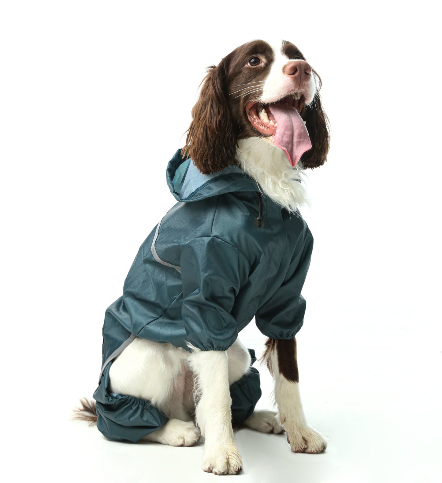 Ultralight Full covered hooded waterproof dog jacket - Blue - gallery image 9
