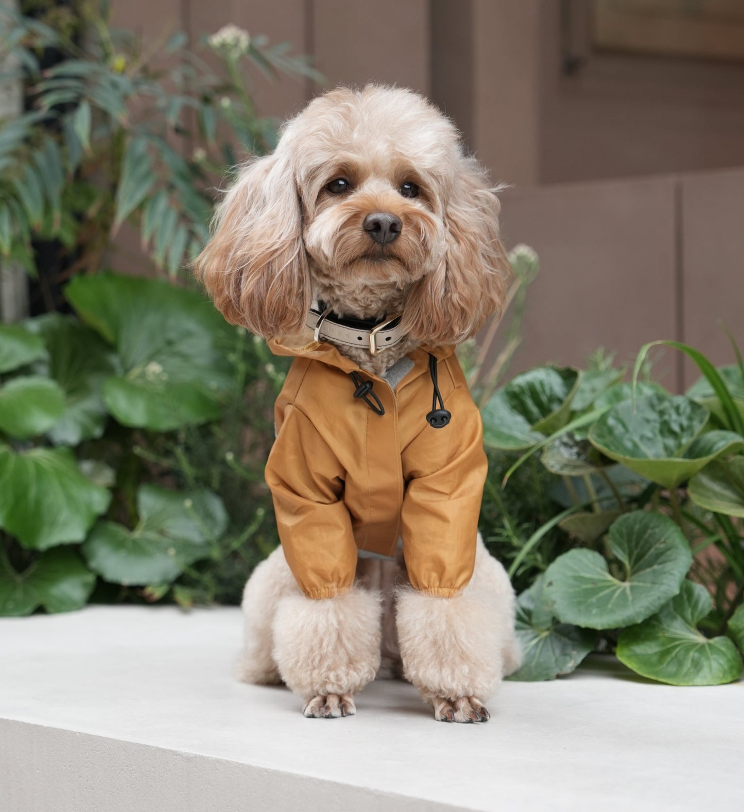 Ultralight Full Covered Hooded Waterproof Dog Jacket Yellow - close up view