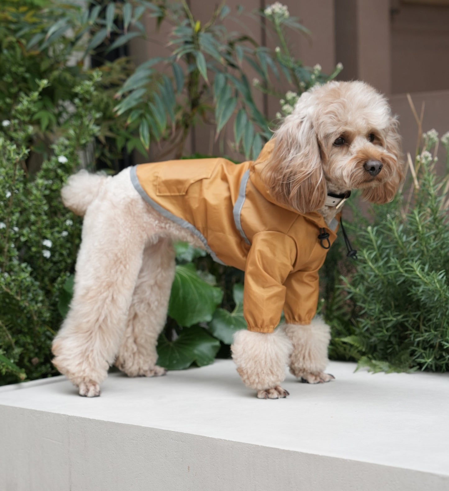 Ultralight Full Covered Hooded Waterproof Dog Jacket Yellow - gallery image 6