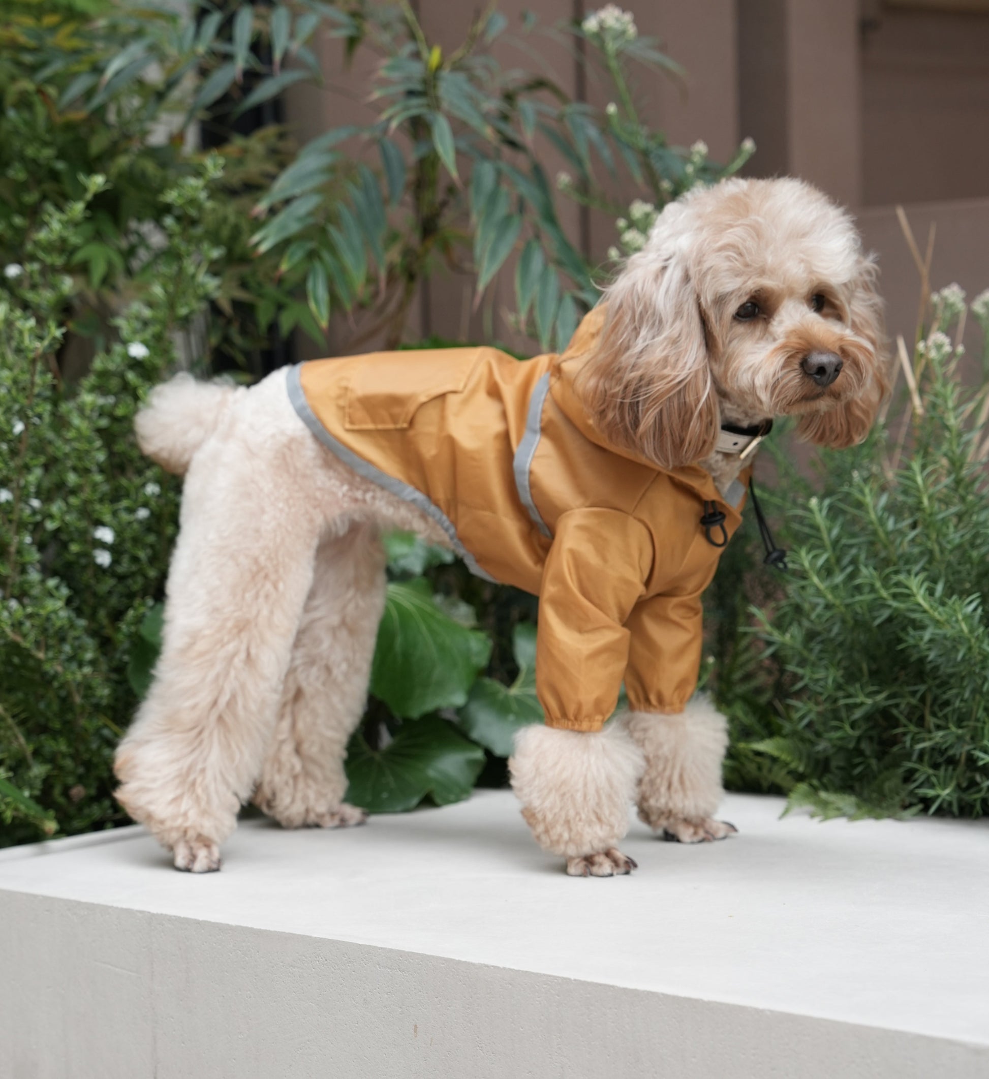 Ultralight Full Covered Hooded Waterproof Dog Jacket Yellow - gallery image 6