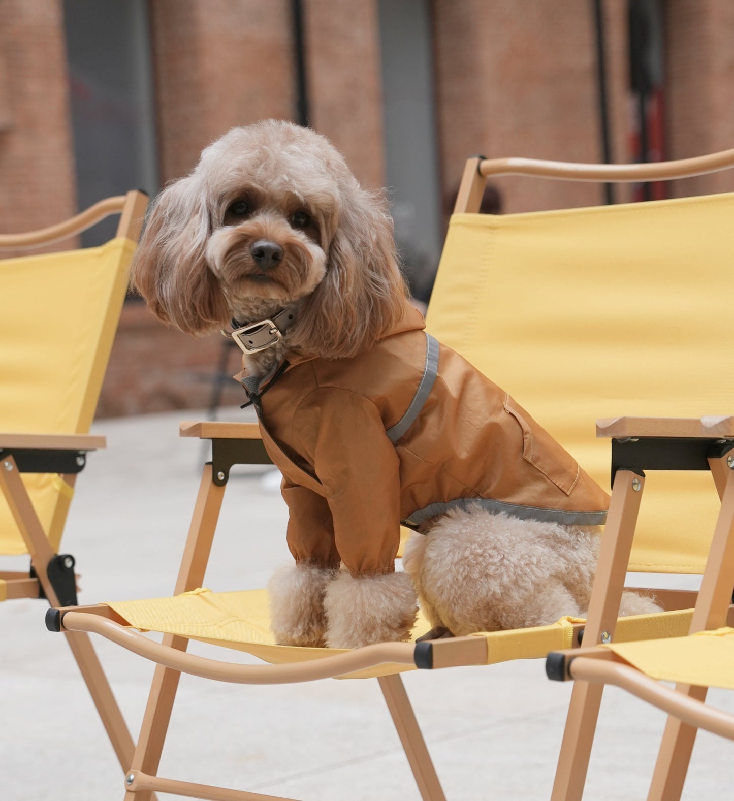 Ultralight Full Covered Hooded Waterproof Dog Jacket Yellow - gallery image 5