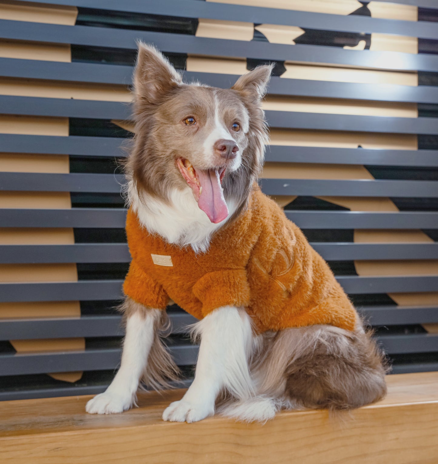 Eskimo Fuzzy Sweater Orange Dog Sweaters Premium Pet Supply - gallery image 7