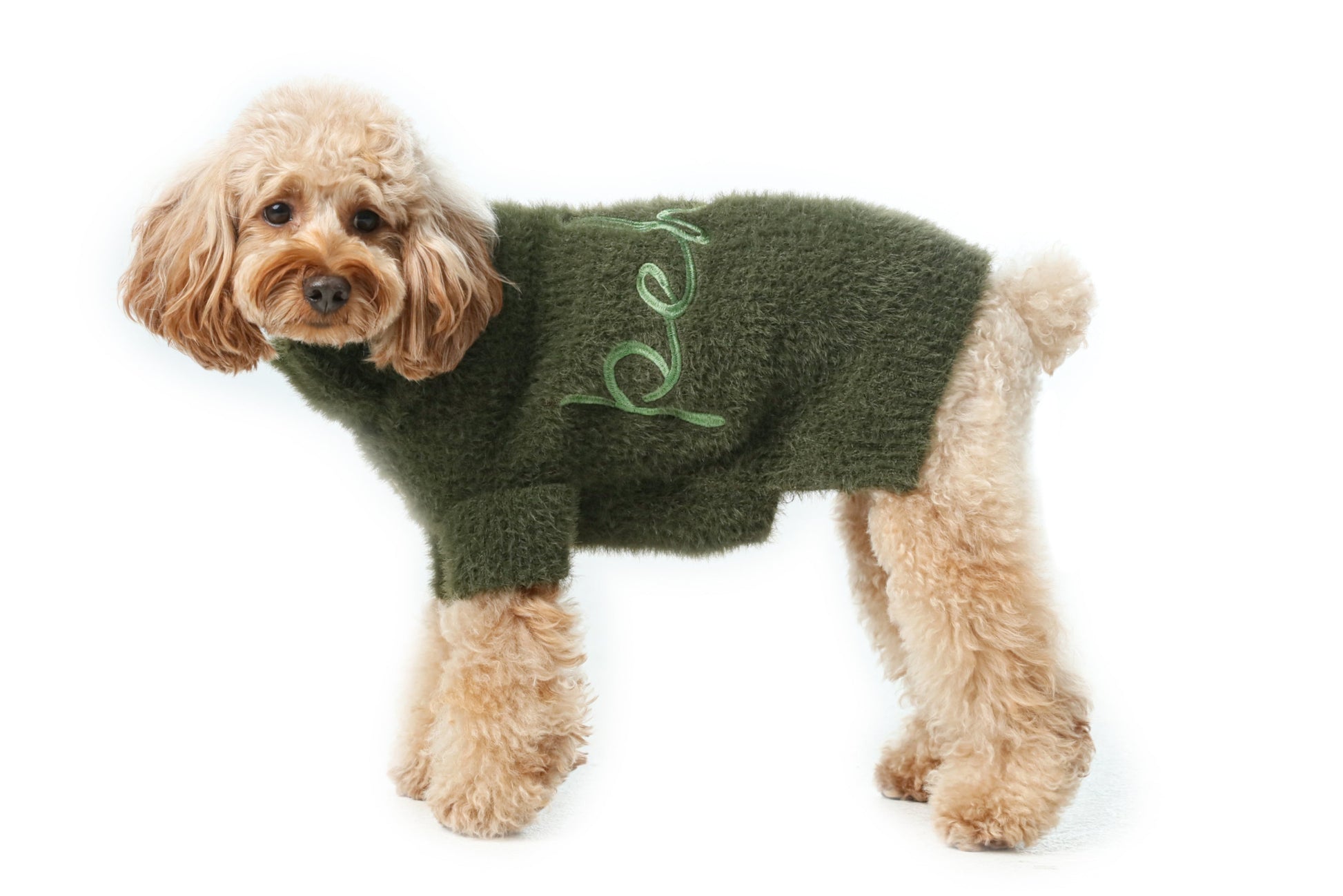 Eskimo Fuzzy Sweater Green Dog Sweaters Premium Pet Supply - close up view