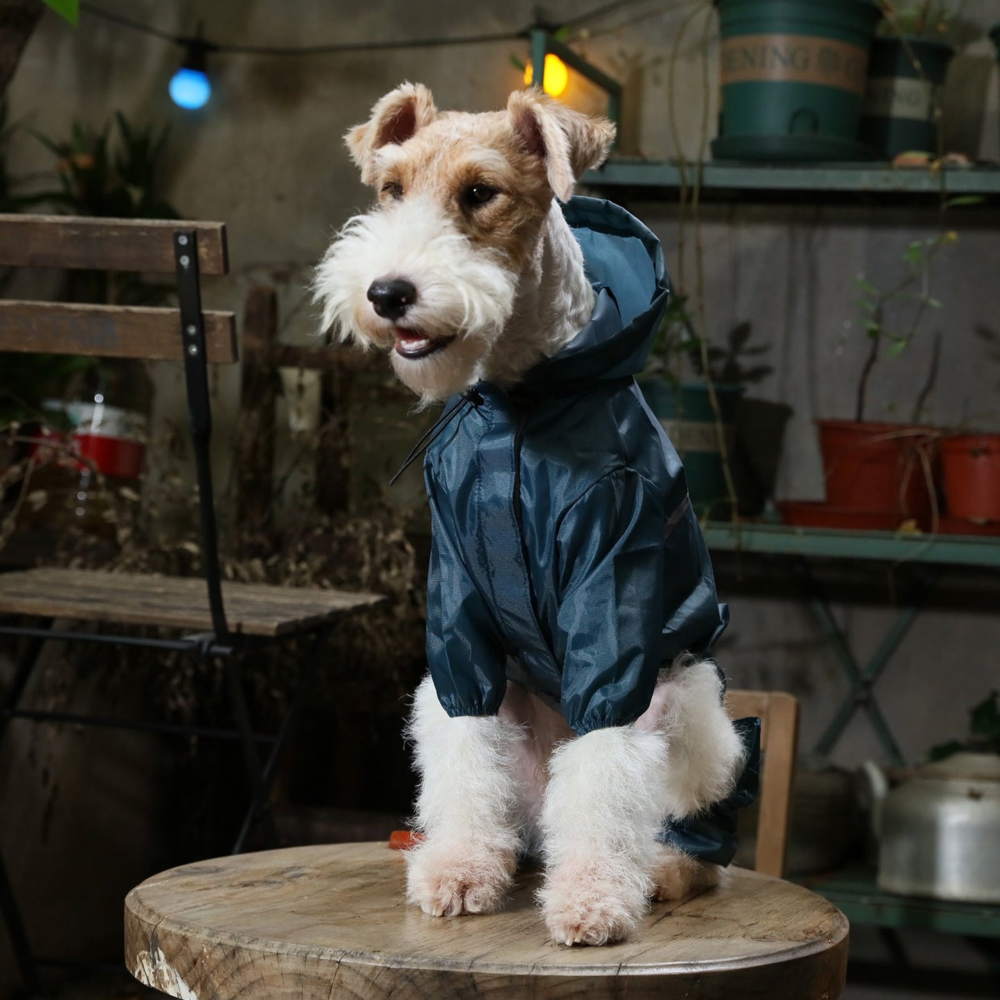 Ultralight Full covered hooded waterproof dog jacket - Blue - close up view