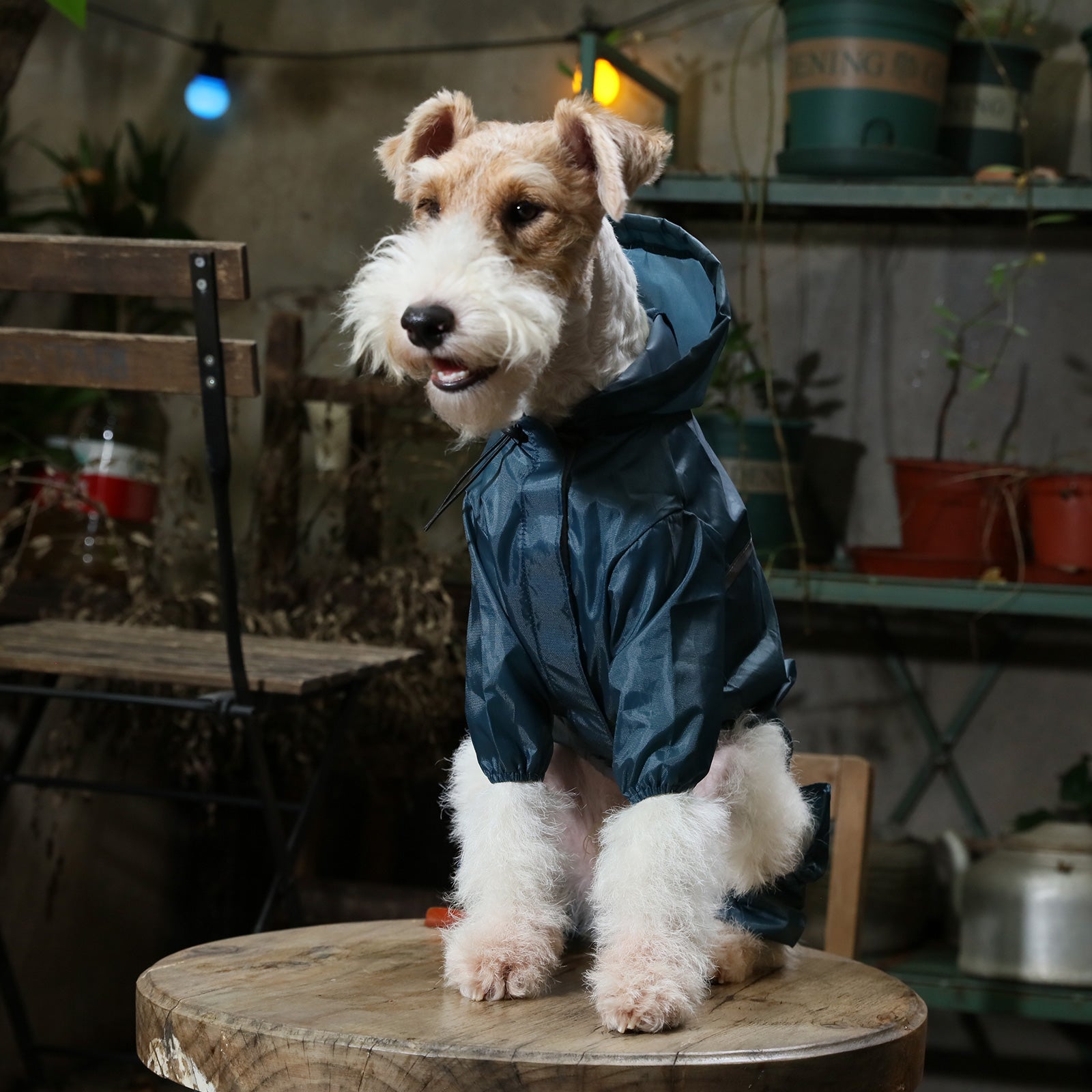 Ultralight Full covered hooded waterproof dog jacket - Blue - close up view