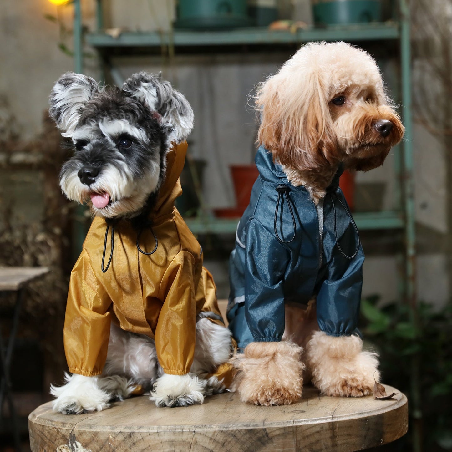 Ultralight Full covered hooded waterproof dog jacket - Blue - gallery image 6
