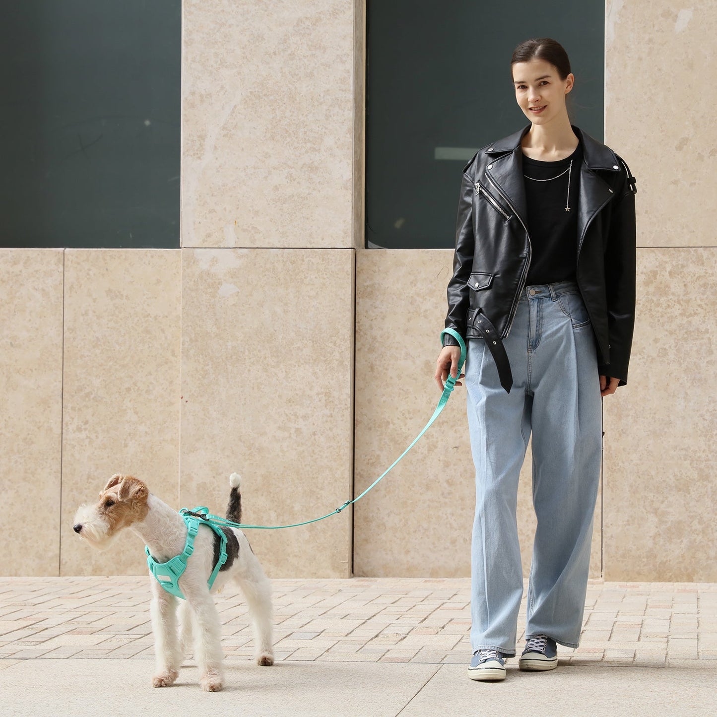 Dog Leash Padded Active Walking Lead Adjustable APRICOT - gallery image 7