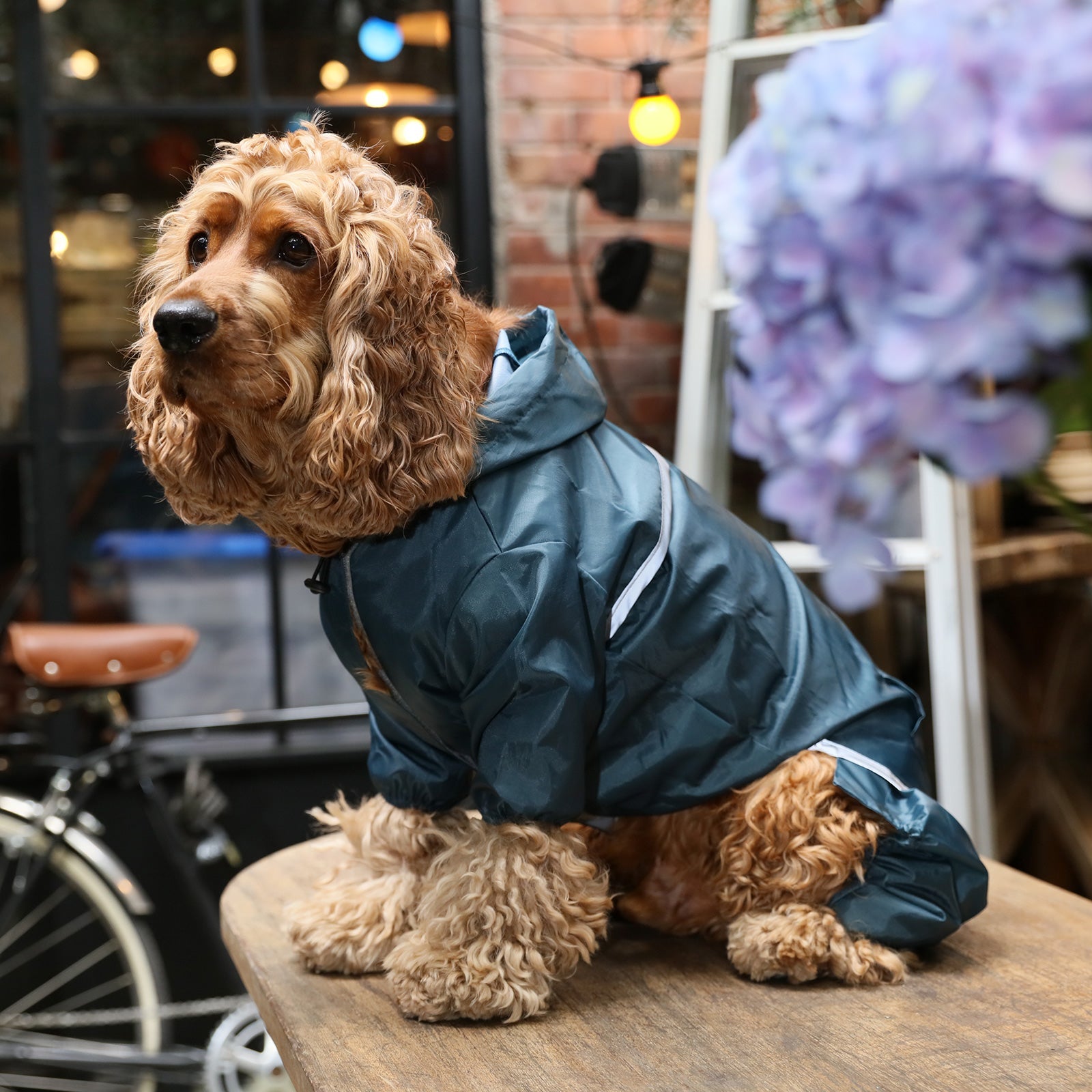 Ultralight Full covered hooded waterproof dog jacket - Blue - gallery image 5
