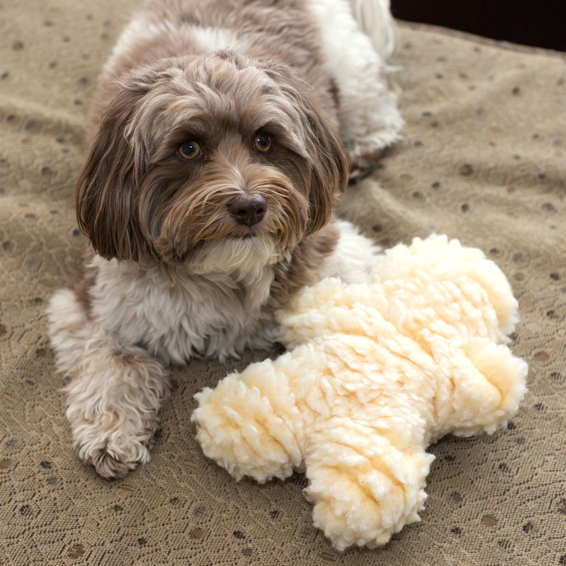 Dog Toy HuggleFleece Man Plush Toy Regular for Daily Use main product image for dogs and cats