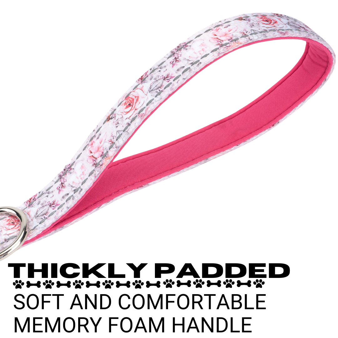 Eco Style Dog Leash for Daily Walks for Royal Pet Homes - Dog Leash view 9 from Purrfect Pet Kingdom