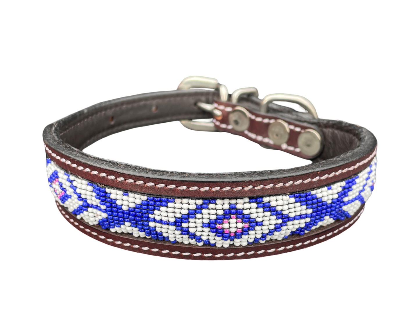 Epic Padded Leather Dog Collar with Beaded Design Dog Collar - lifestyle view