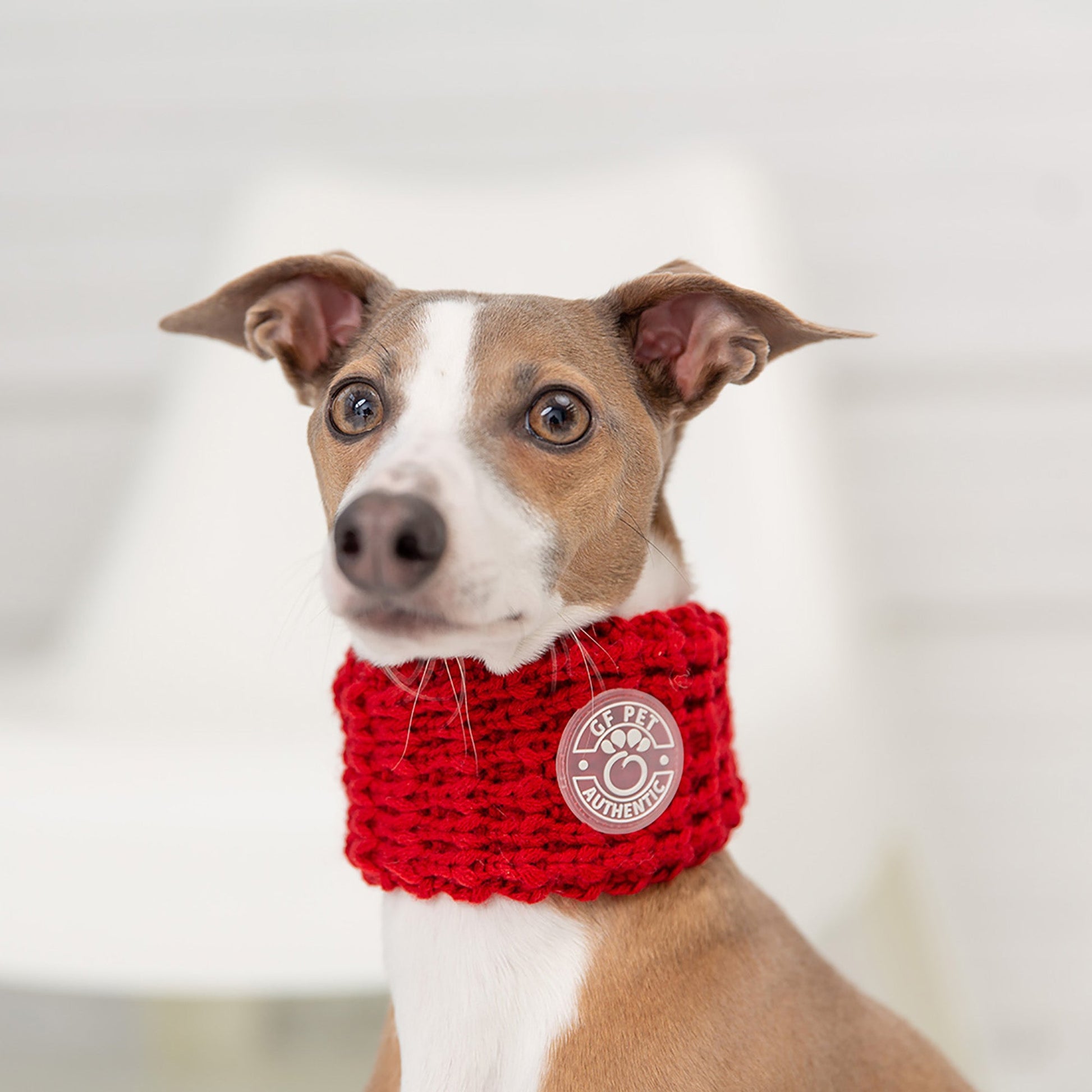 Chalet Tube Scarf Red Dog Apparel Premium Pet Supply Premium - lifestyle view