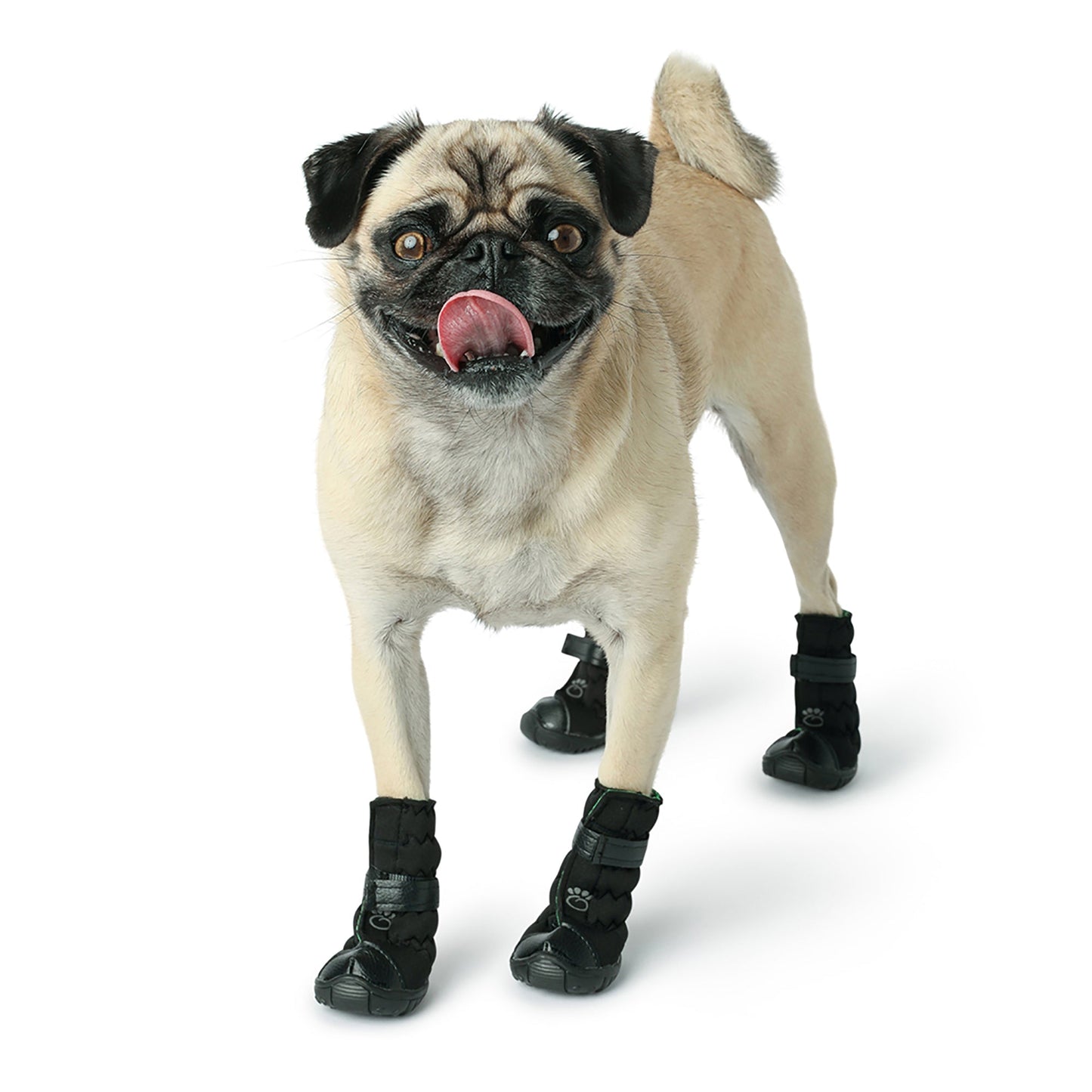 Elasto Fit Dog Boots Black Dog Apparel Premium Pet Supply - detail view