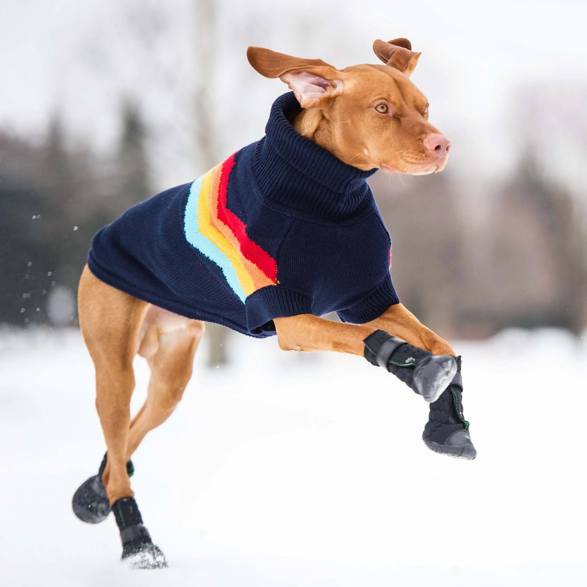 Elasto Fit Dog Boots Black Dog Apparel Premium Pet Supply - gallery image 5