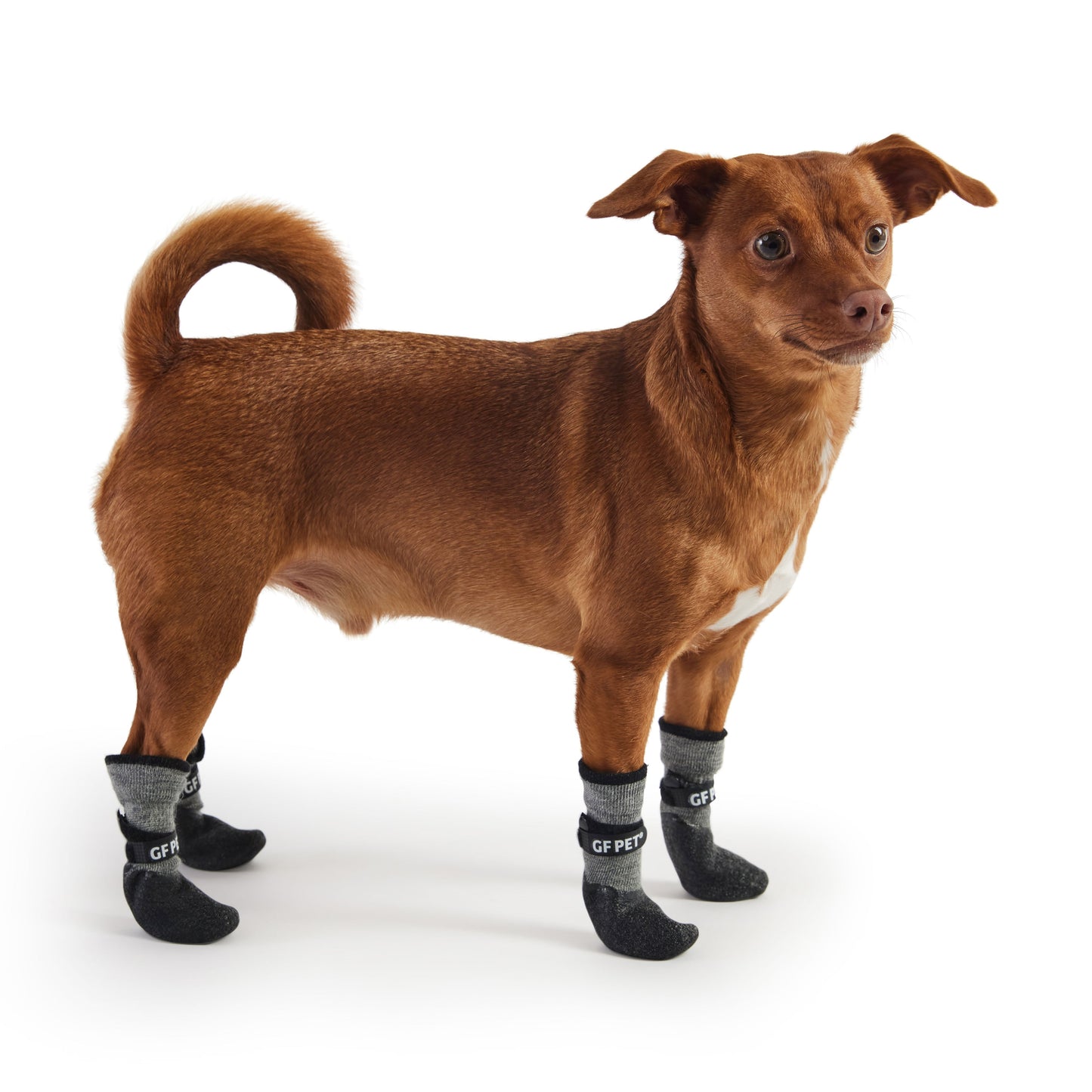 All Terrain Boots - Charcoal - size and texture view | Dog Shoes & Boots at Purrfect Pet Kingdom