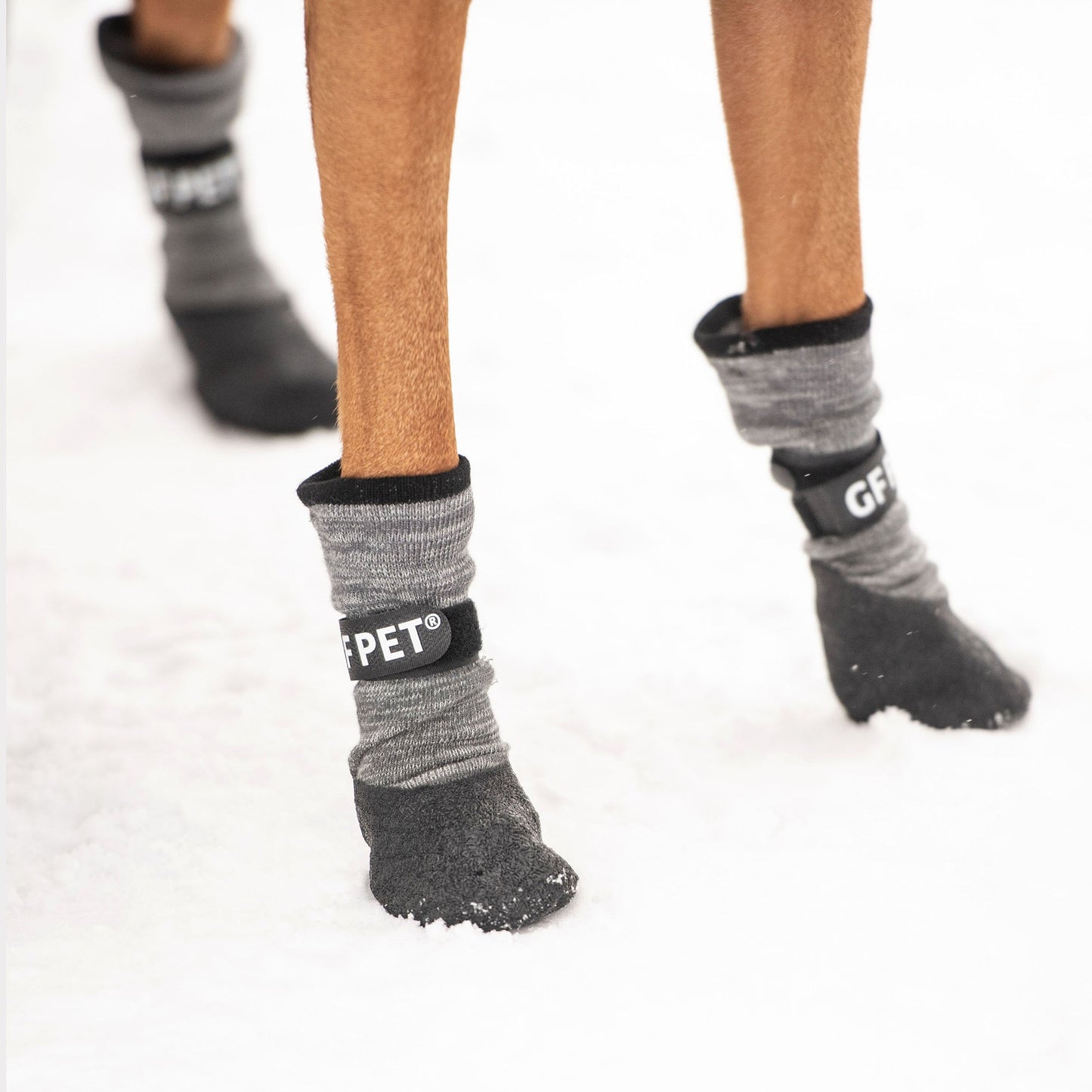 All Terrain Boots - Charcoal - gallery view 6 | Dog Shoes & Boots at Purrfect Pet Kingdom