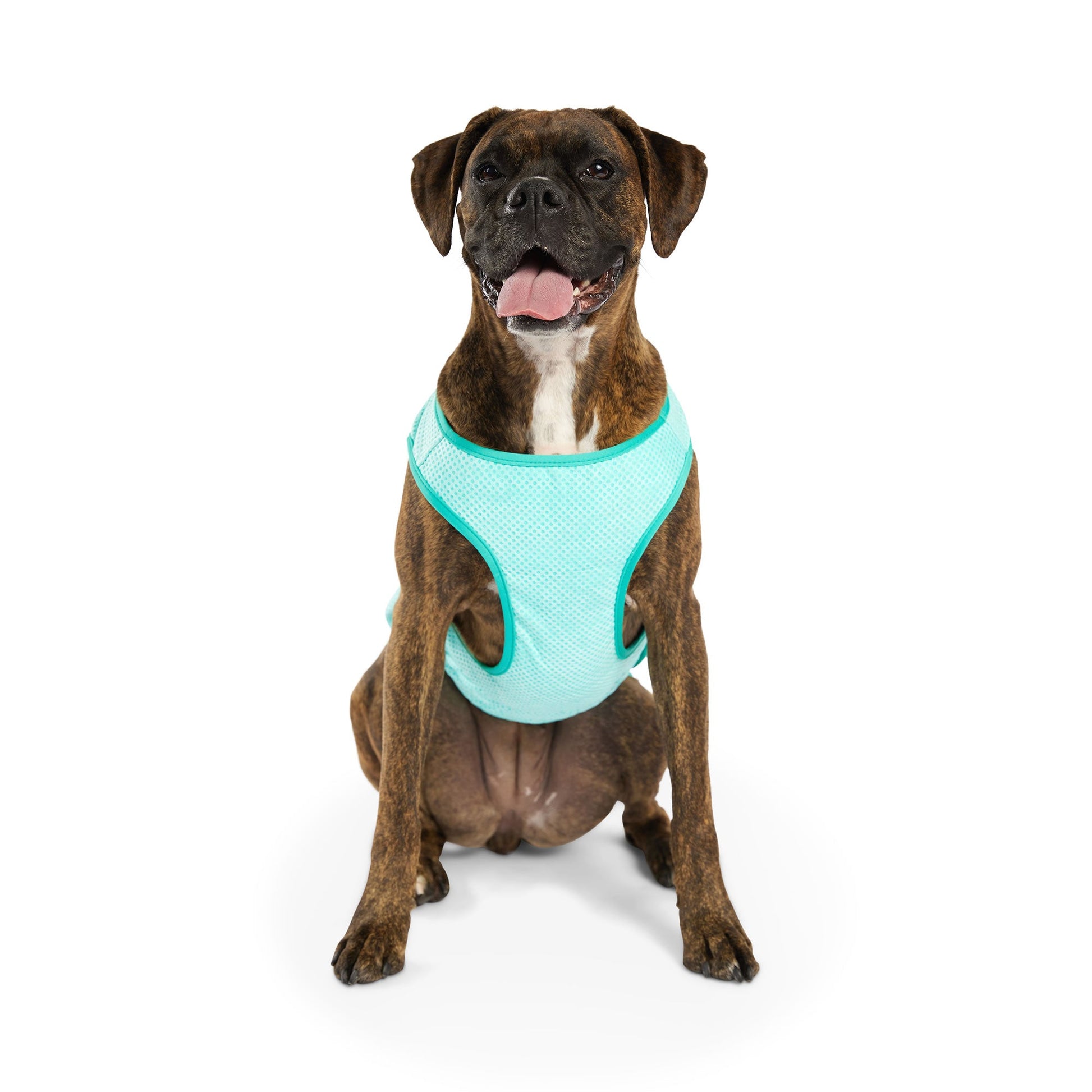 Elasto Fit Ice Vest Aqua Dog Apparel Premium Pet Supply - gallery image 10