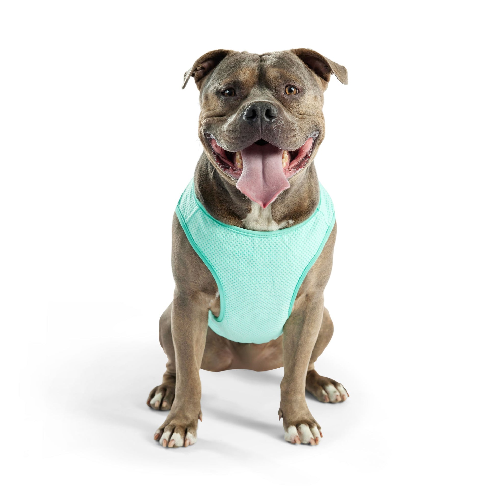 Elasto Fit Ice Vest Aqua Dog Apparel Premium Pet Supply - gallery image 11
